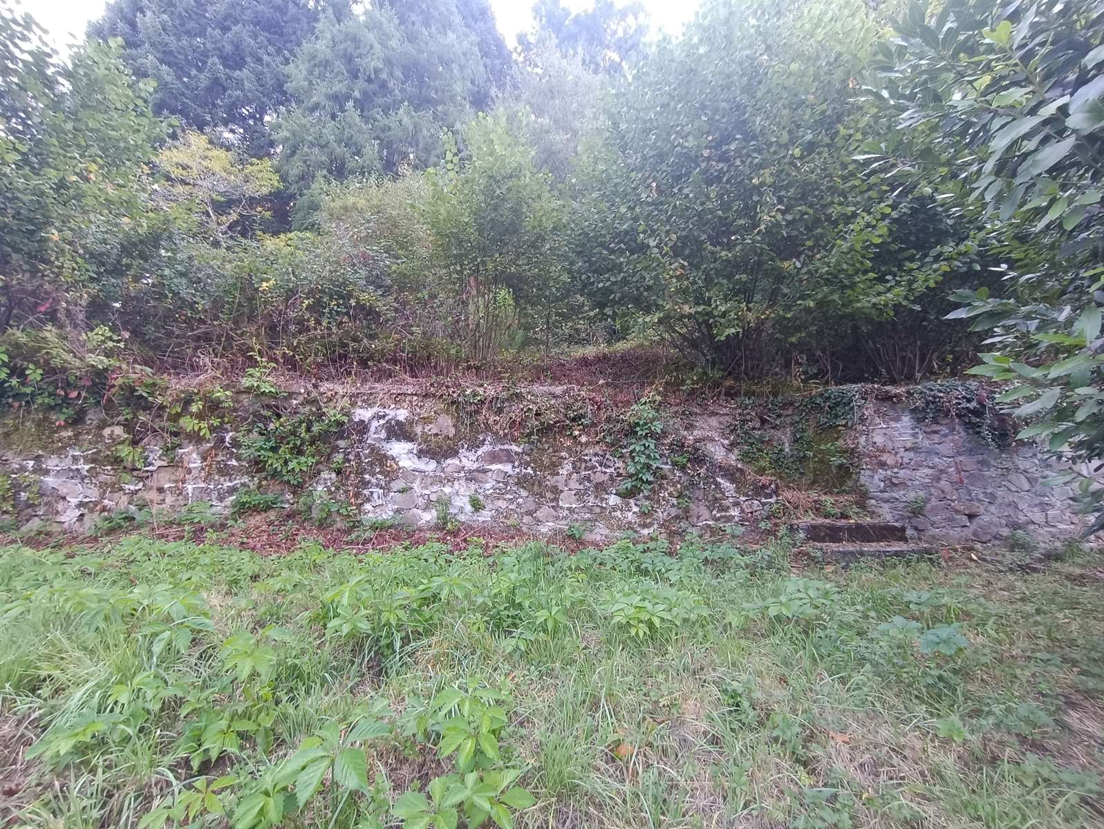 Photo 26 - Maison familiale en pierres et ardoises avec dépendance, puits, garages, caves et terrain d&rsquo;environ 4271 m²