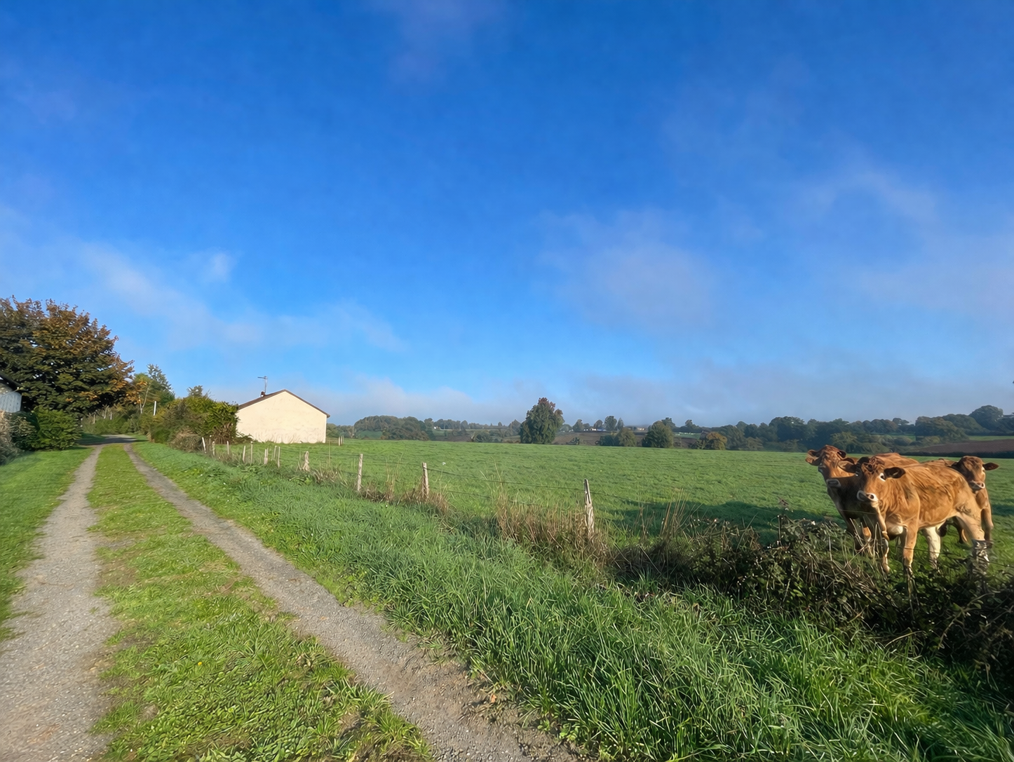 Photo 12 - Corps de Ferme – Sans voisin – NOUZIERS 23350 – Creuse Limite Indre (36)