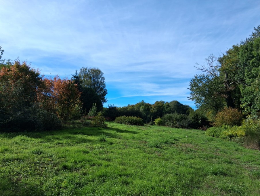 Photo 3 - Propriété isolée au bout d&rsquo;un chemin !