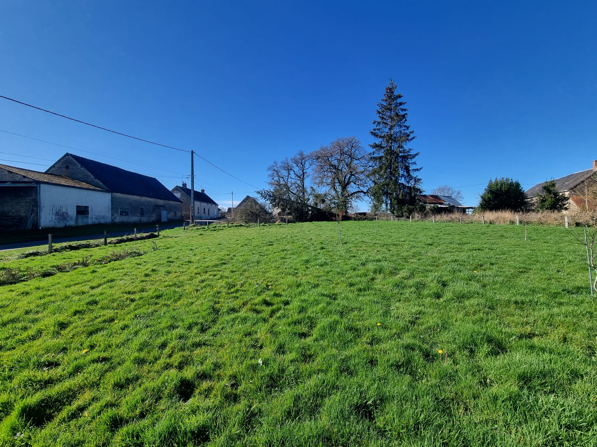 Photo 6 - Longère en campagne !