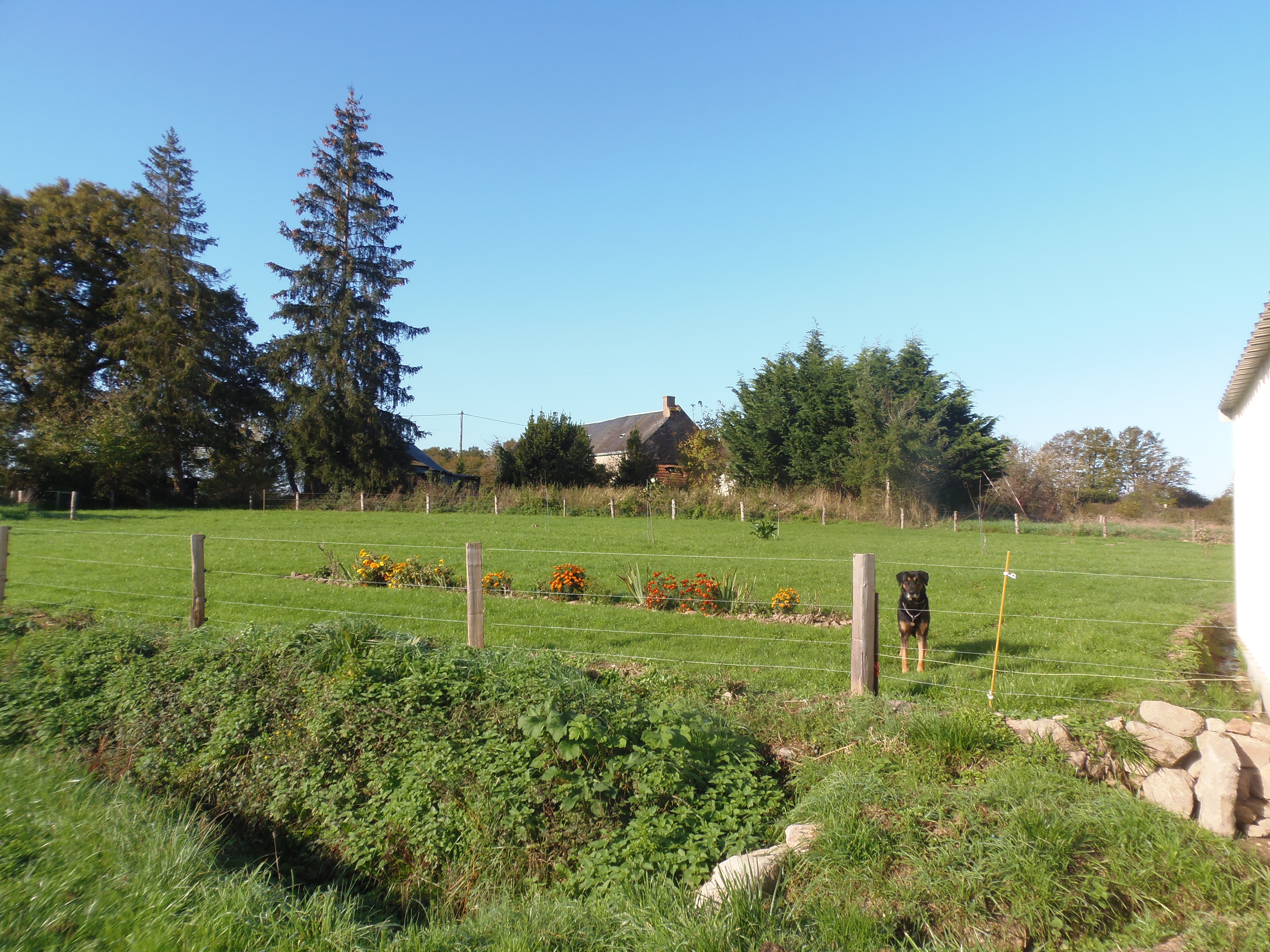 Photo 17 - Longère en campagne !