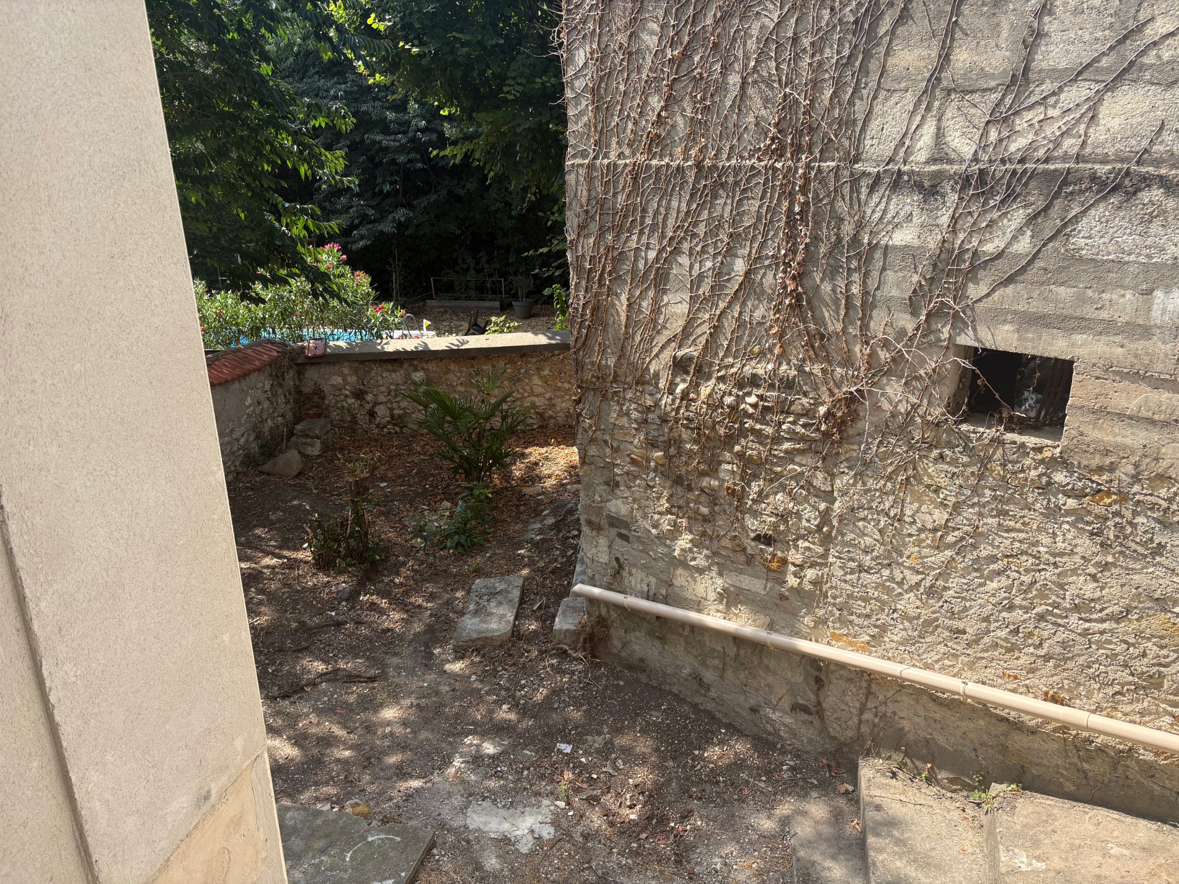Photo 3 - Appartement RDC avec cours