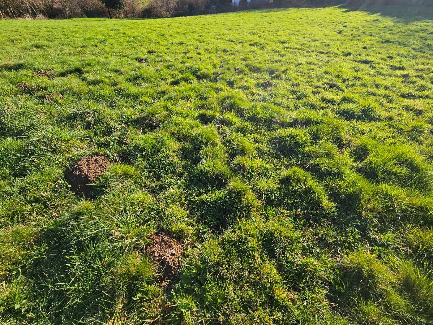 Photo 4 - Terrain constructible
