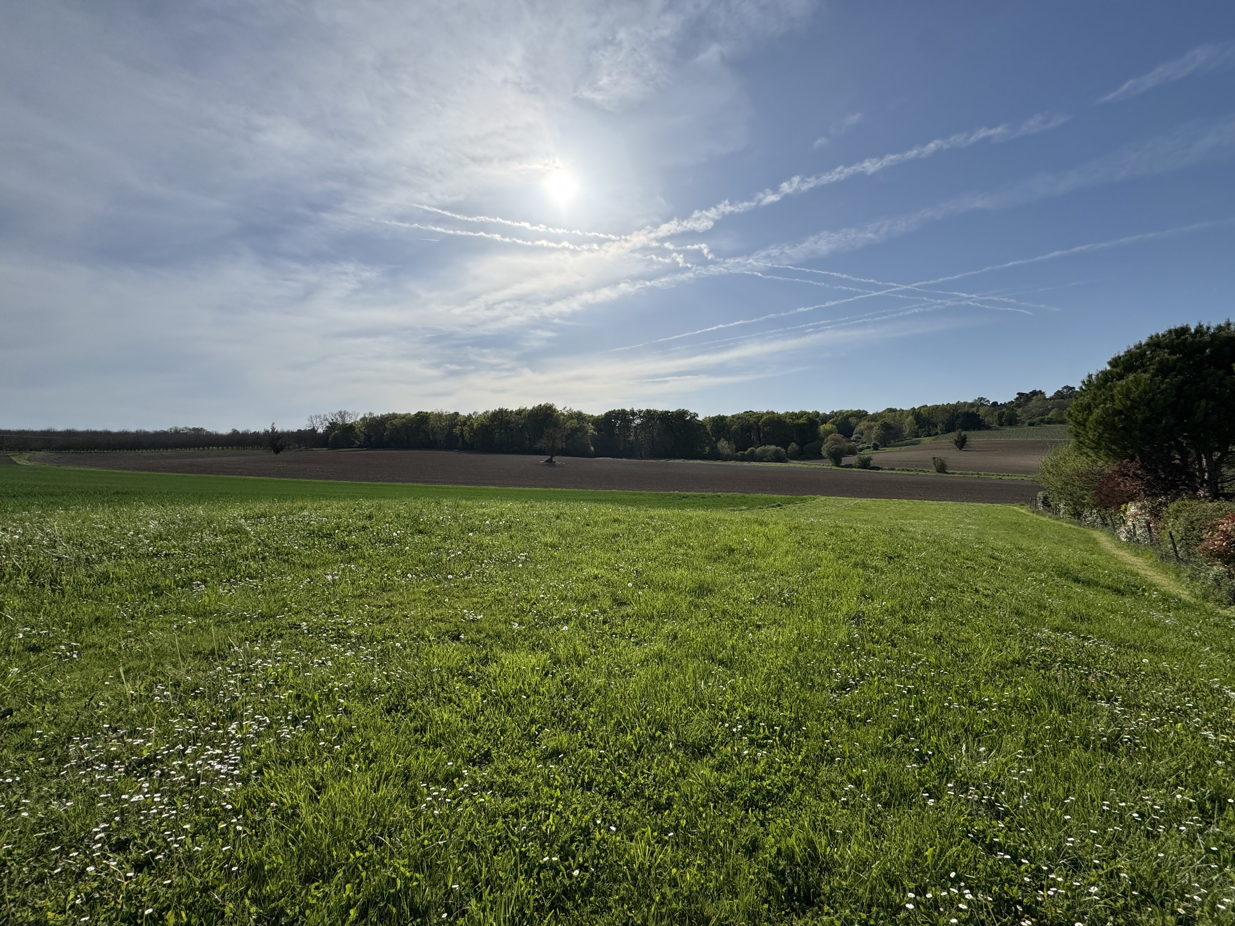 Photo 12 - Ensemble immobilier de 111 m² – Hangar – Terrain 5 700 m²