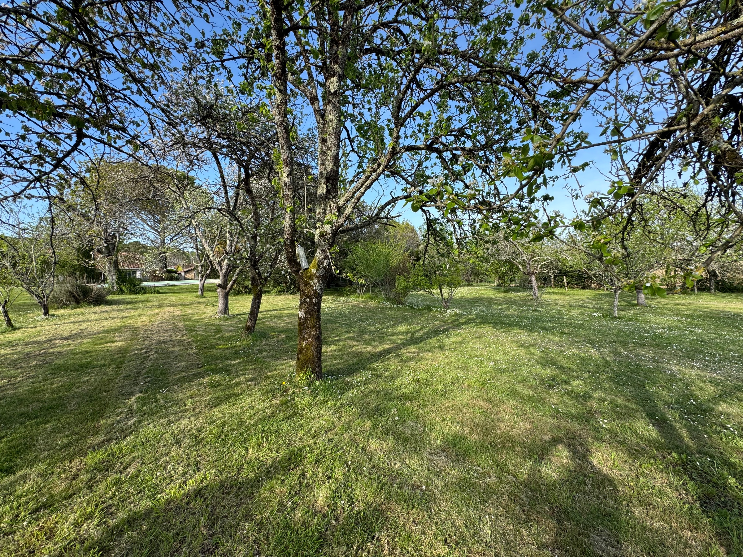 Photo 15 - Ensemble immobilier de 111 m² – Hangar – Terrain 5 700 m²