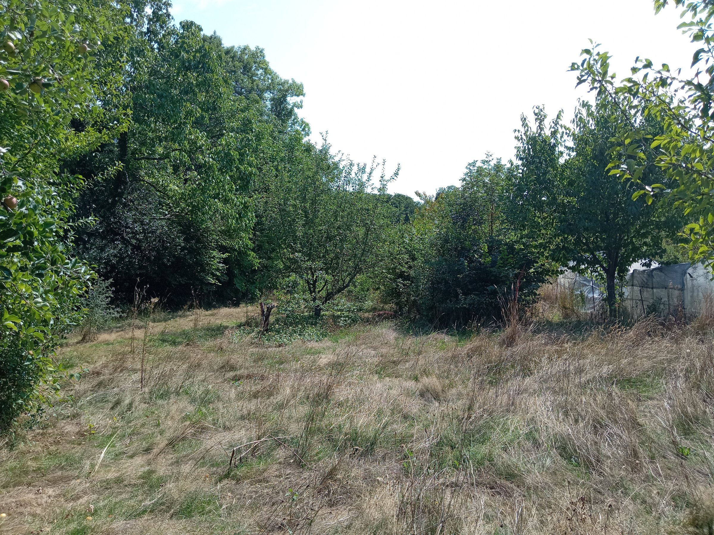 Photo 7 - Maison de campagne sur un chemin
