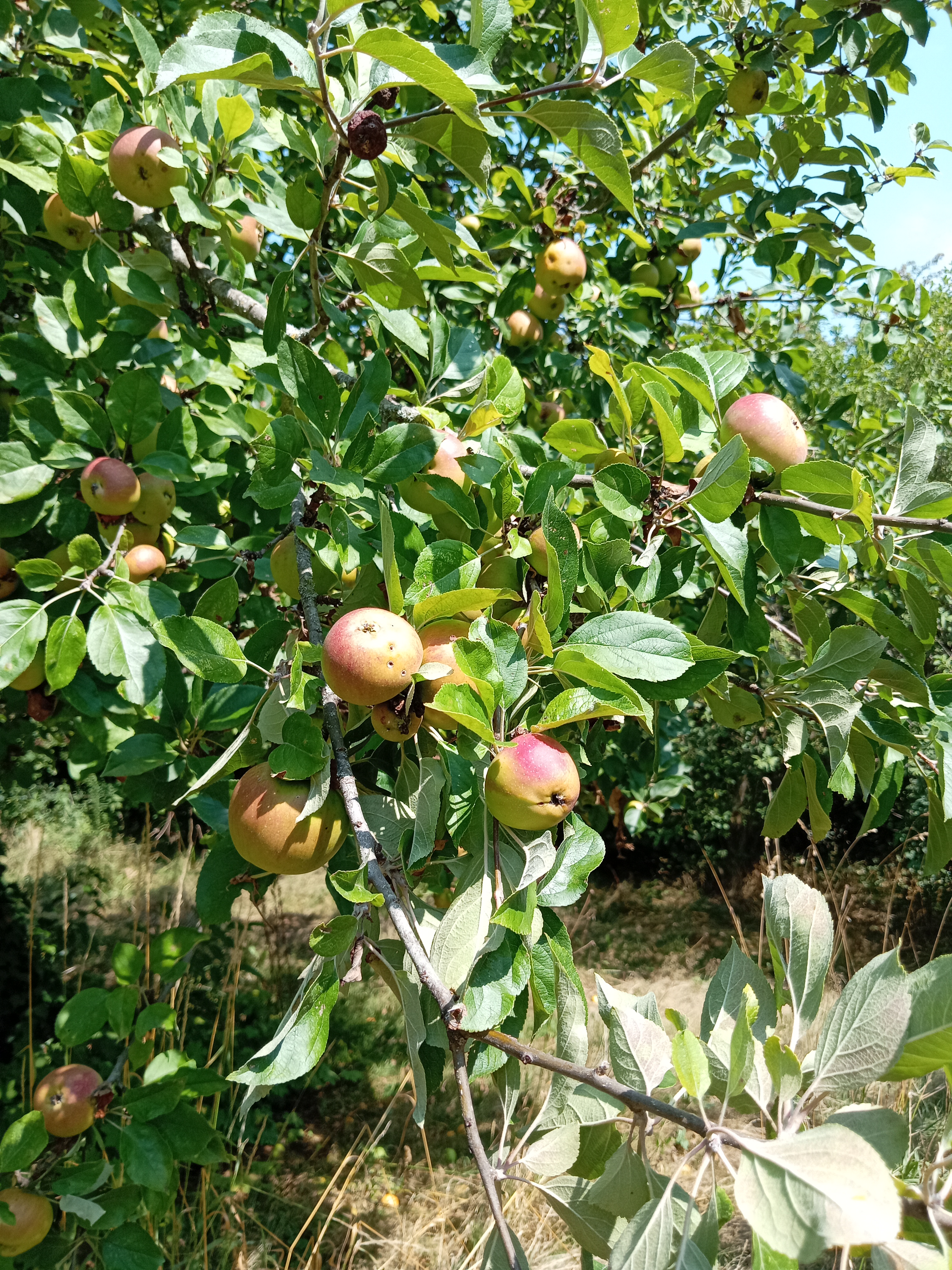 Photo 8 - Maison de campagne sur un chemin