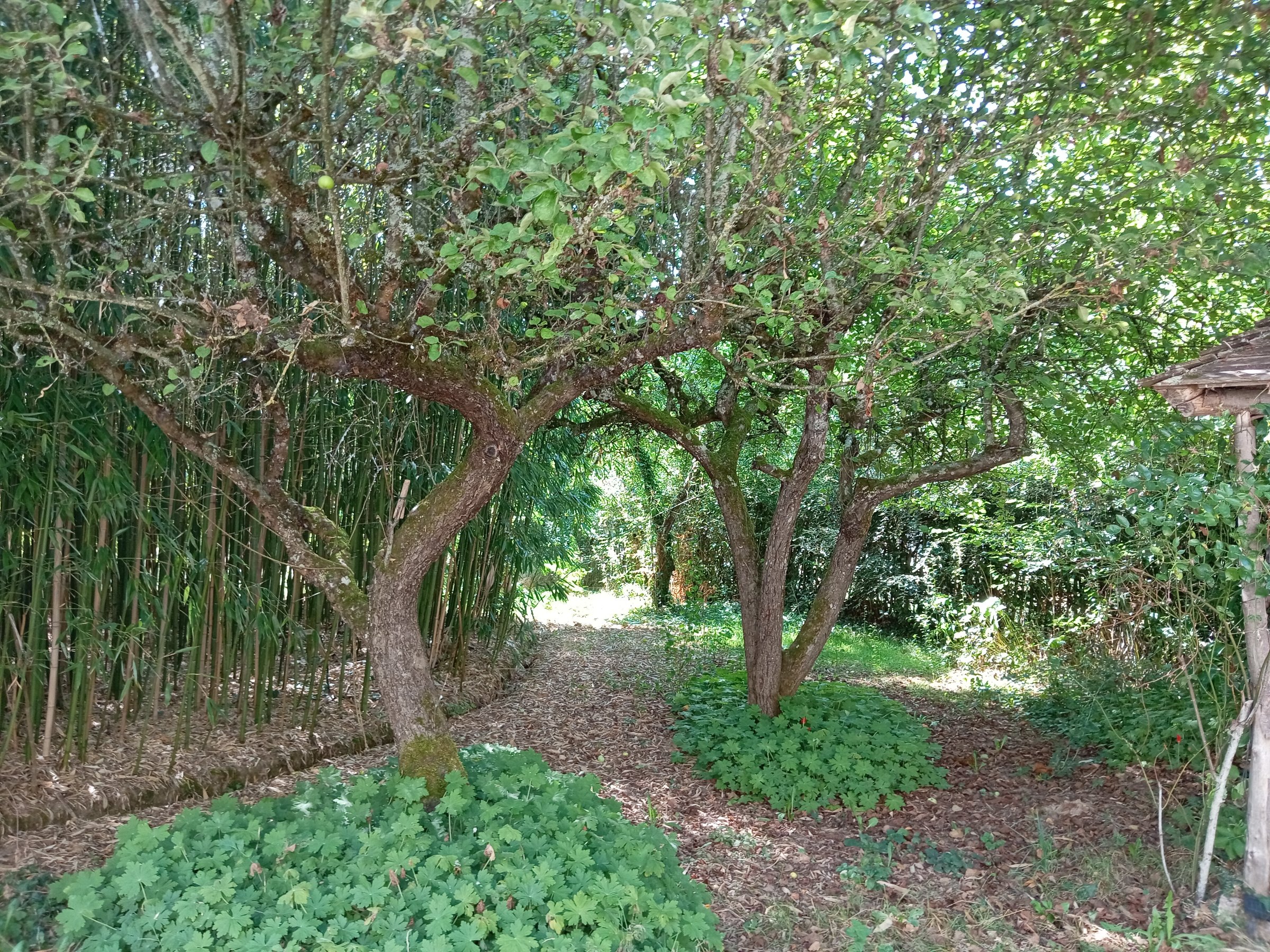 Photo 10 - Maison de campagne sur un chemin