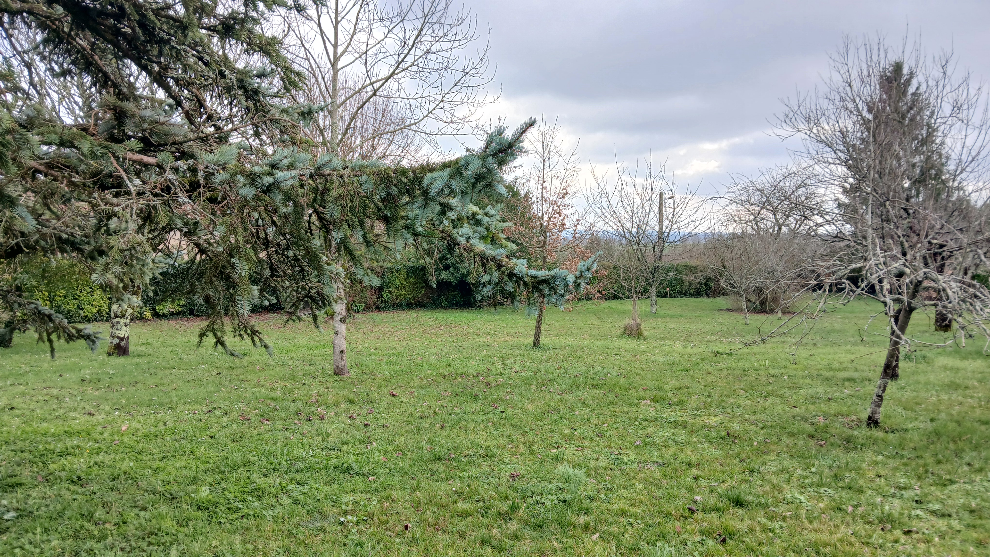 Photo 16 - Maison de caractère, 4 chambres, grand terrain clos