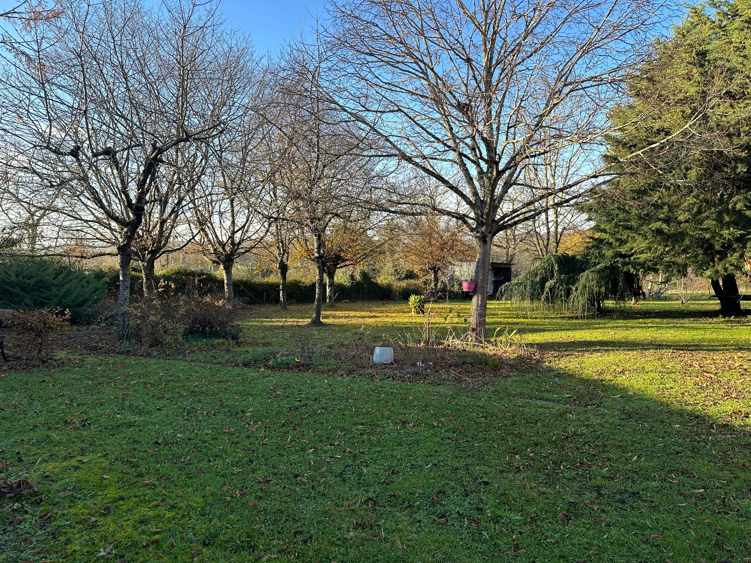 Photo 5 - Maison sur 8000 m2 de terrain