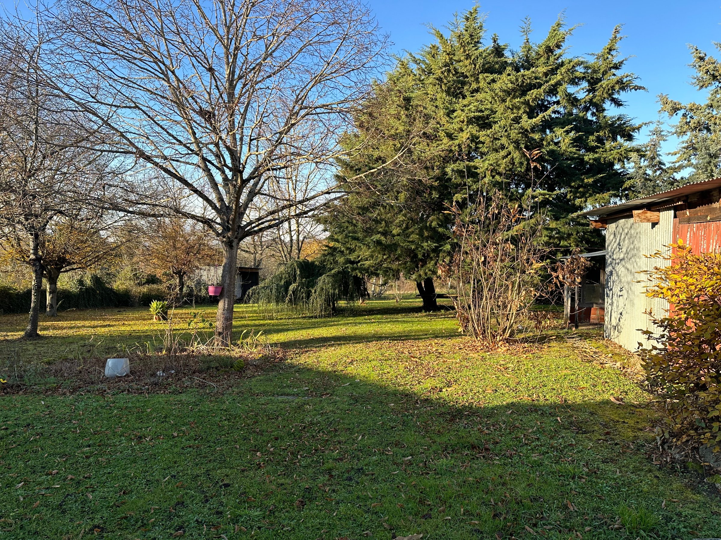 Photo 21 - Maison sur 8000 m2 de terrain