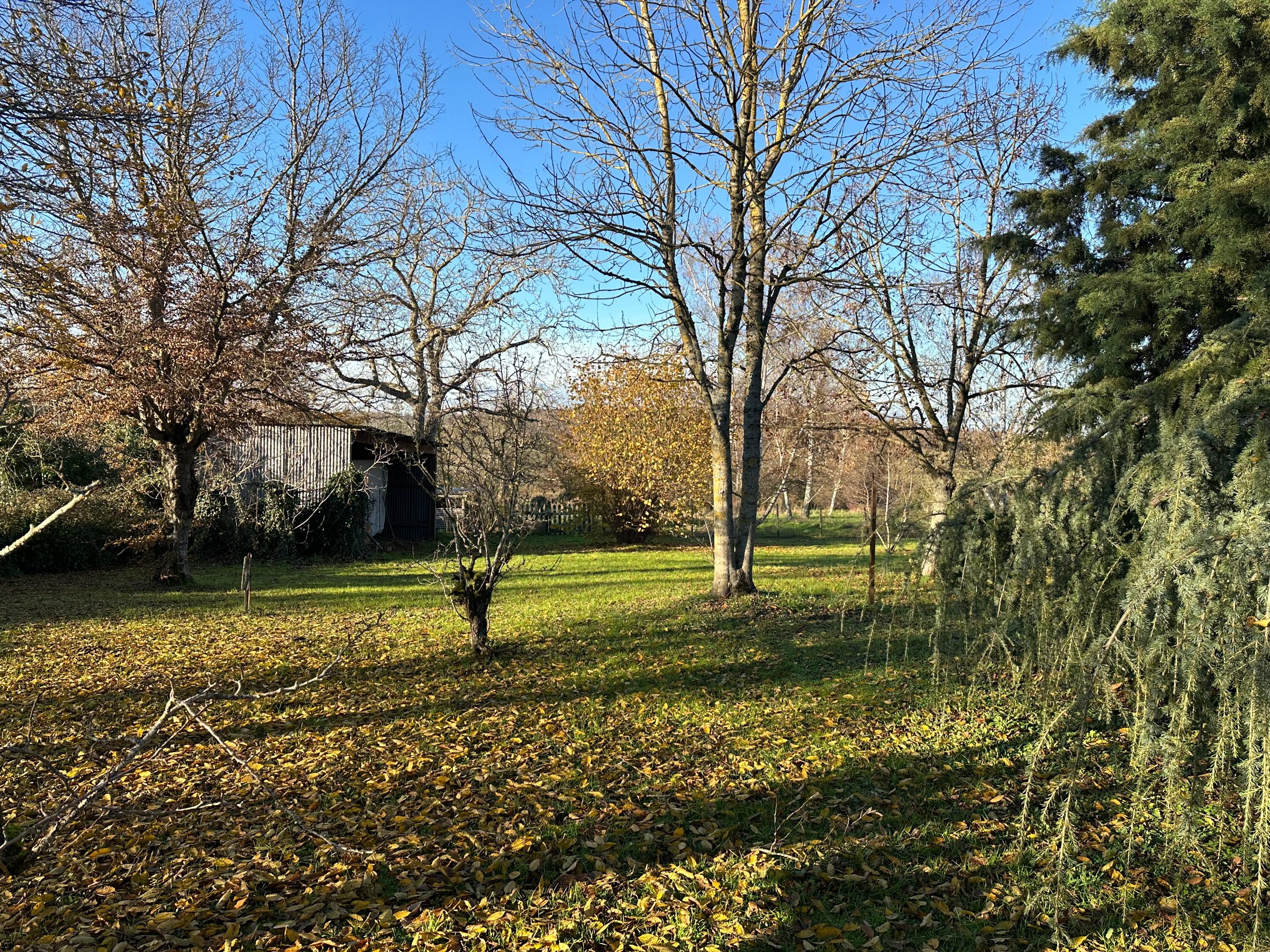 Photo 22 - Maison sur 8000 m2 de terrain