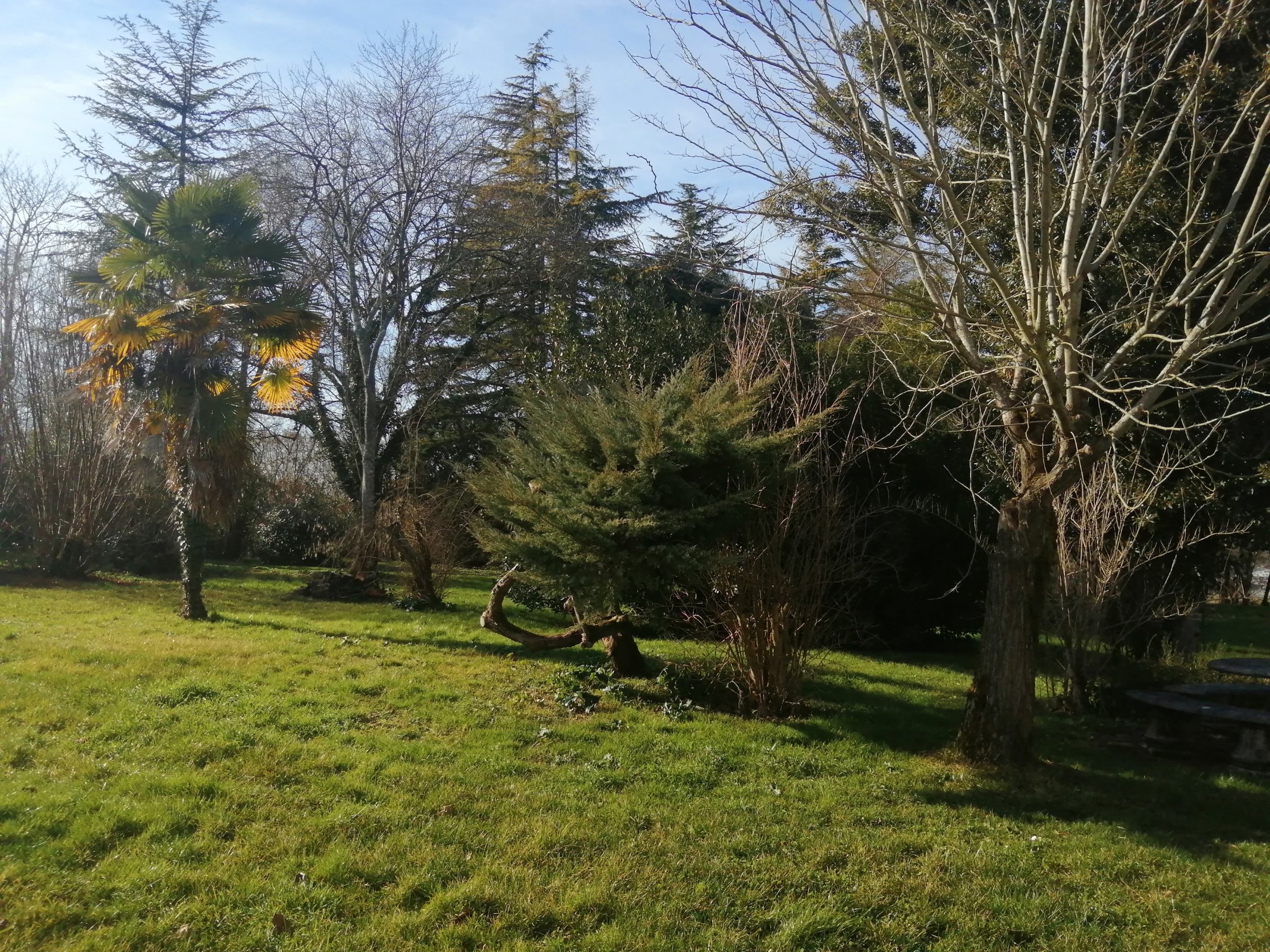 Photo 23 - Maison deux logements grand terrain clos – Copie