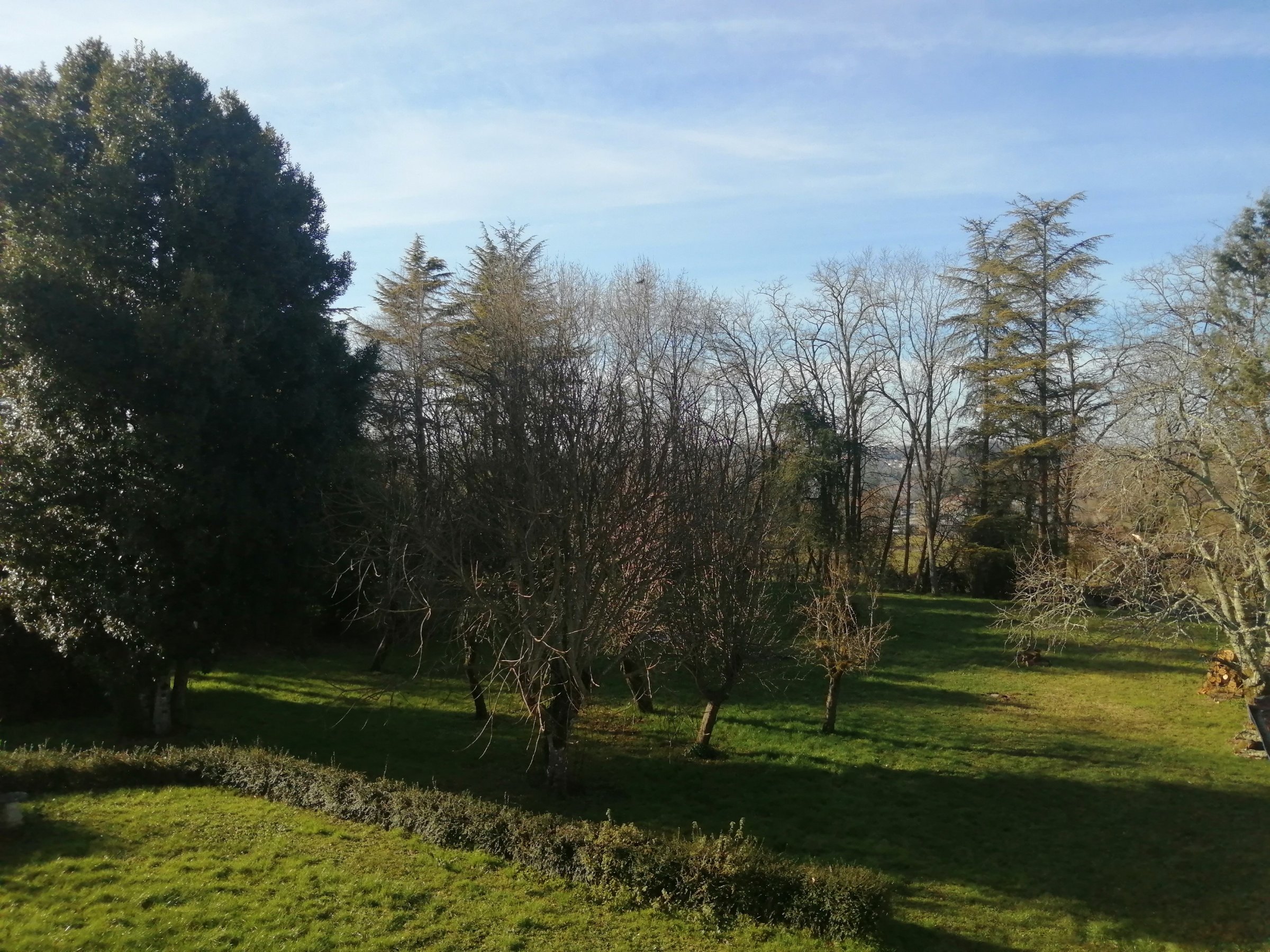 Photo 24 - Maison deux logements grand terrain clos – Copie