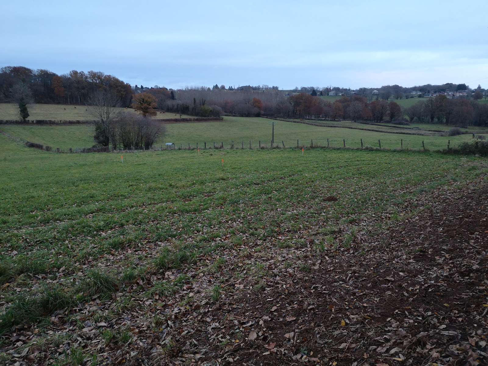 Photo 2 - Terrain constructible d&rsquo;environ 2683 m²