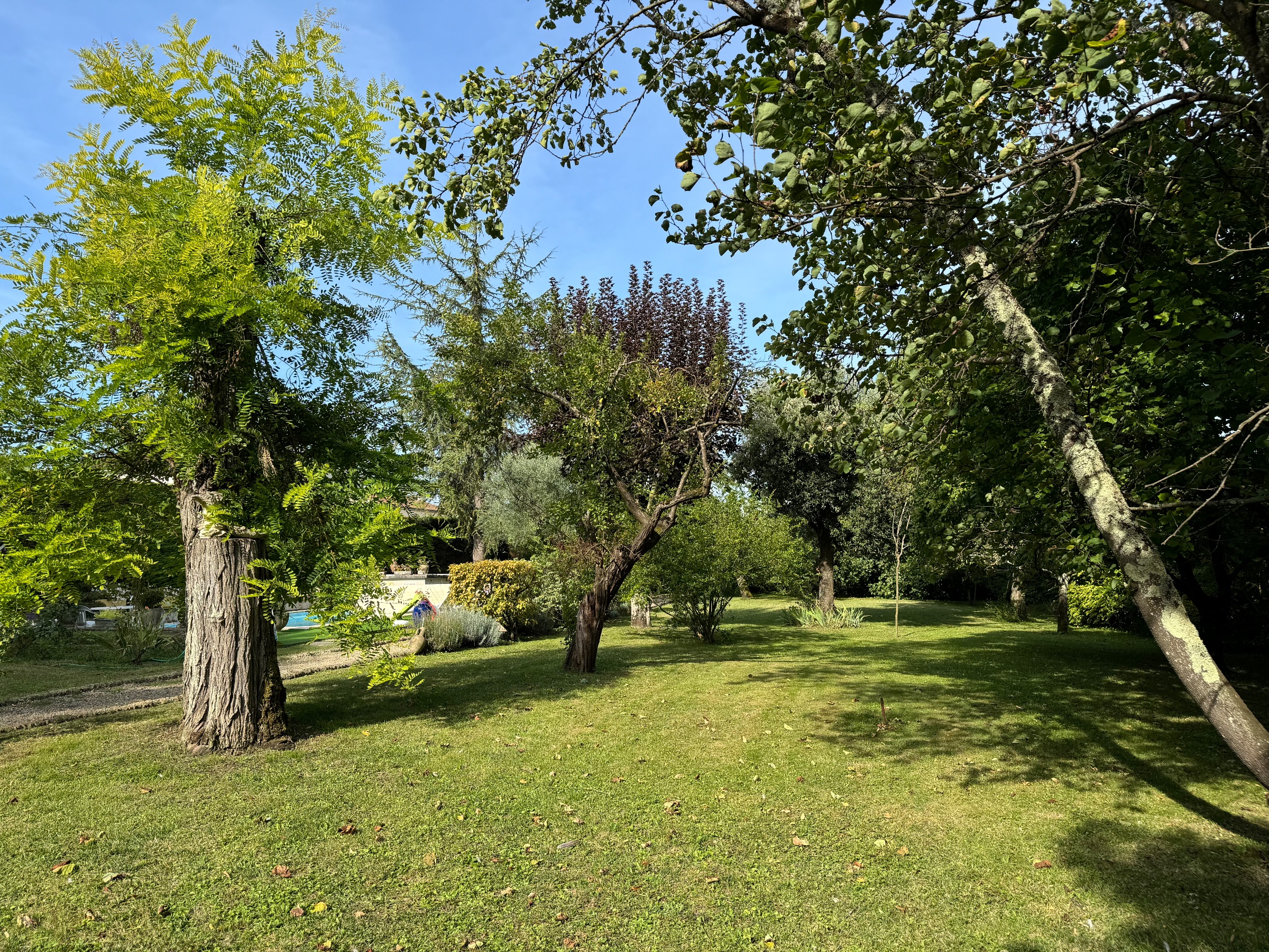 Photo 5 - Ensemble immobilier 407 m² – Terrain 3000 m² – piscine