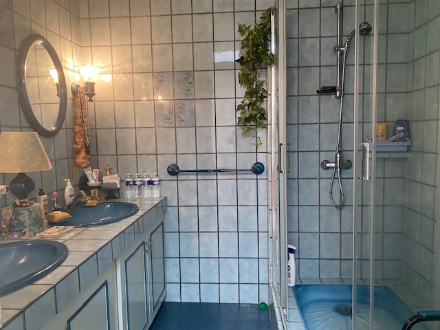 Photo 18 - Ensemble immobilier 407 m² – Terrain 3000 m² – piscine