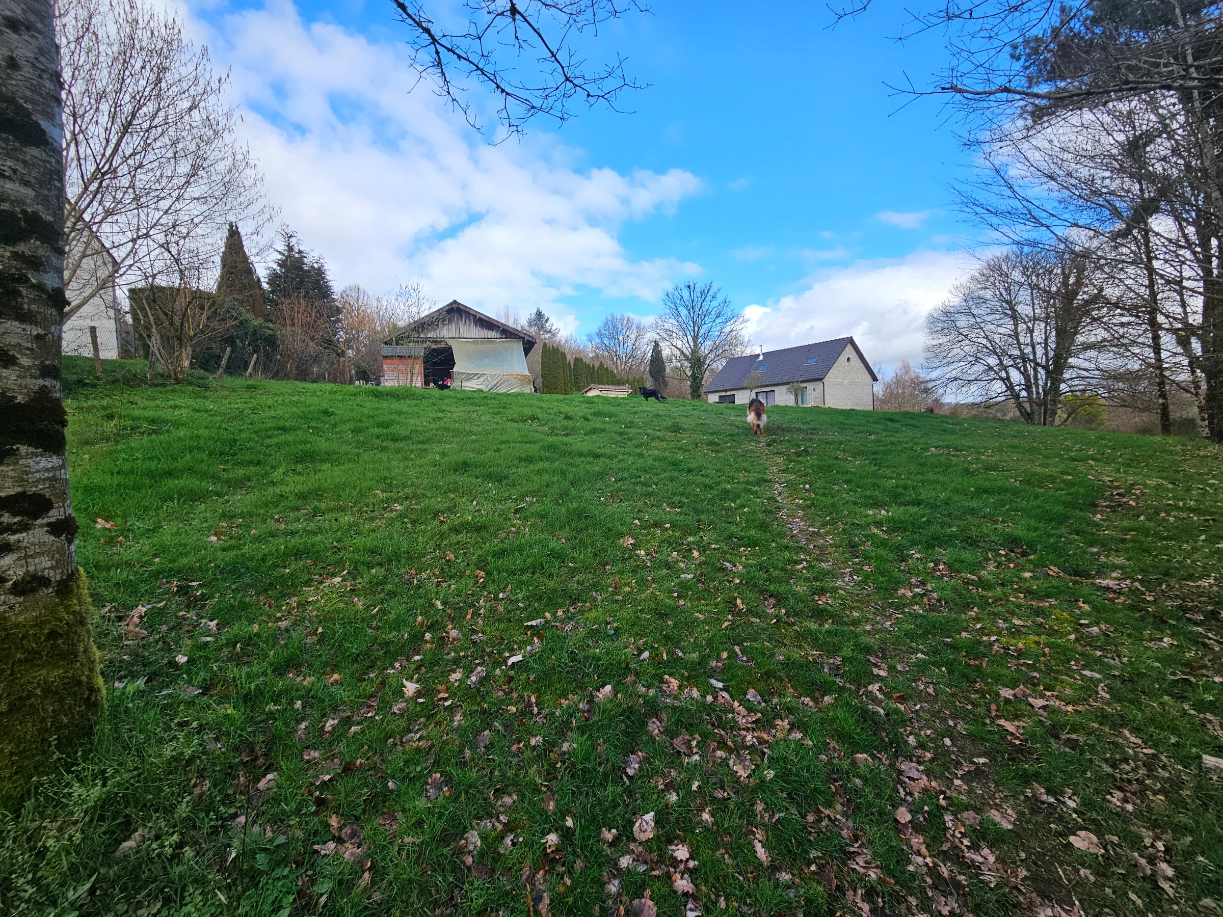 Photo 18 - Maison