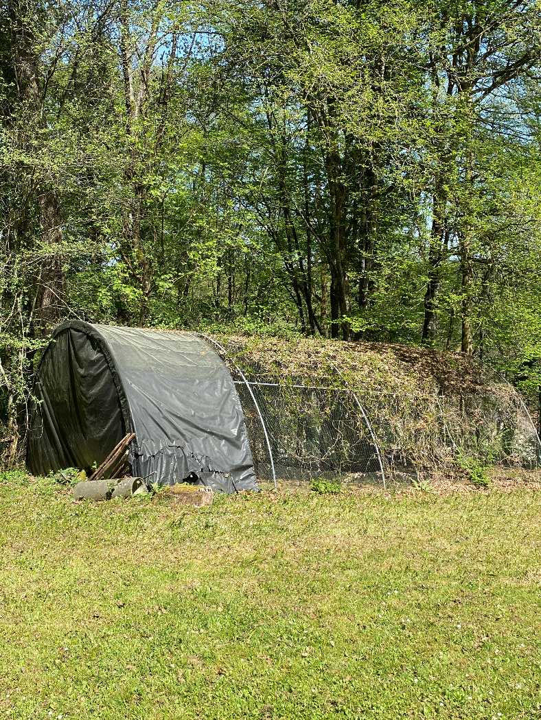 Photo 11 - Maison avec terrain arboré
