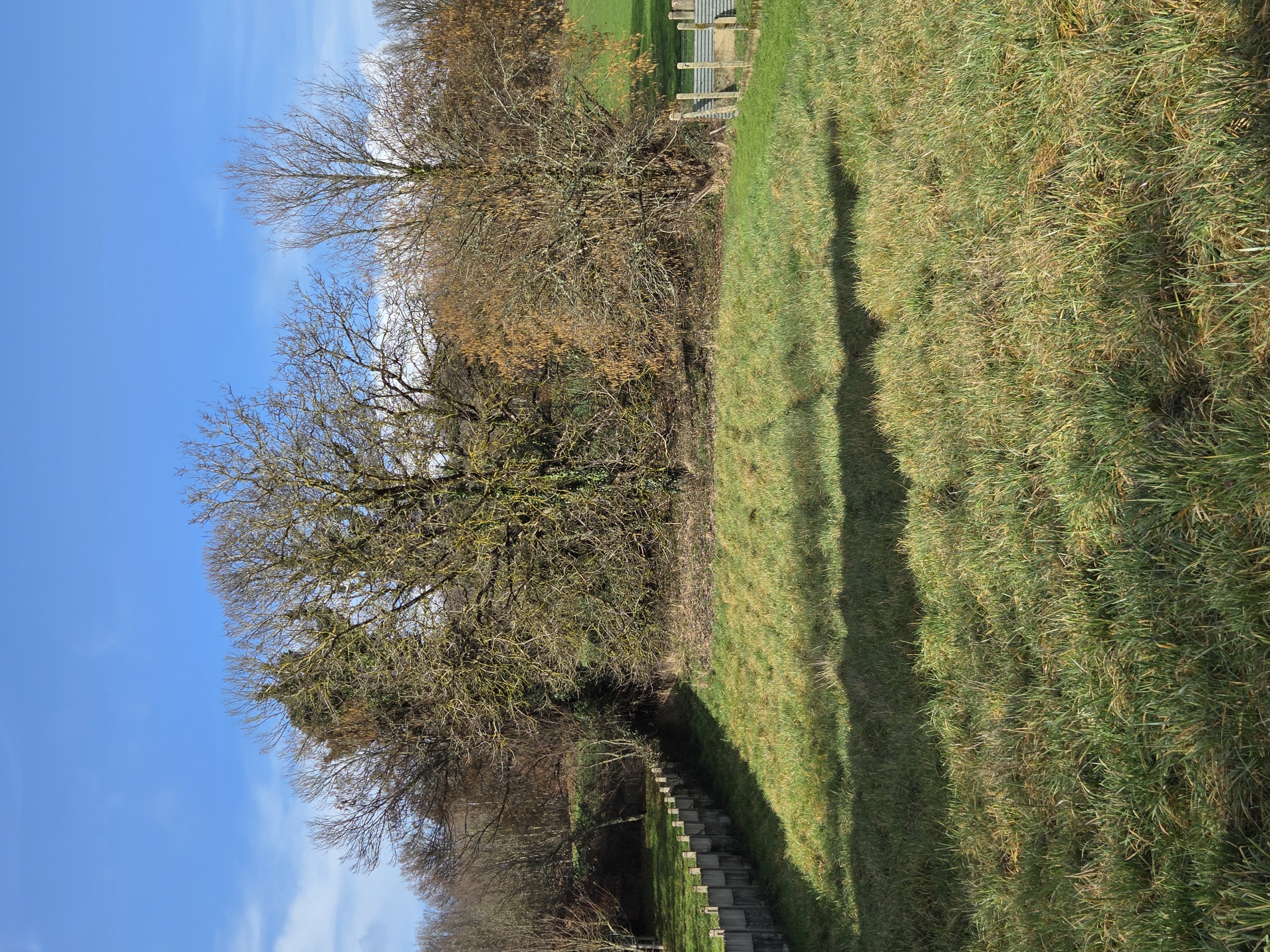 Photo 5 - Terrain constructible