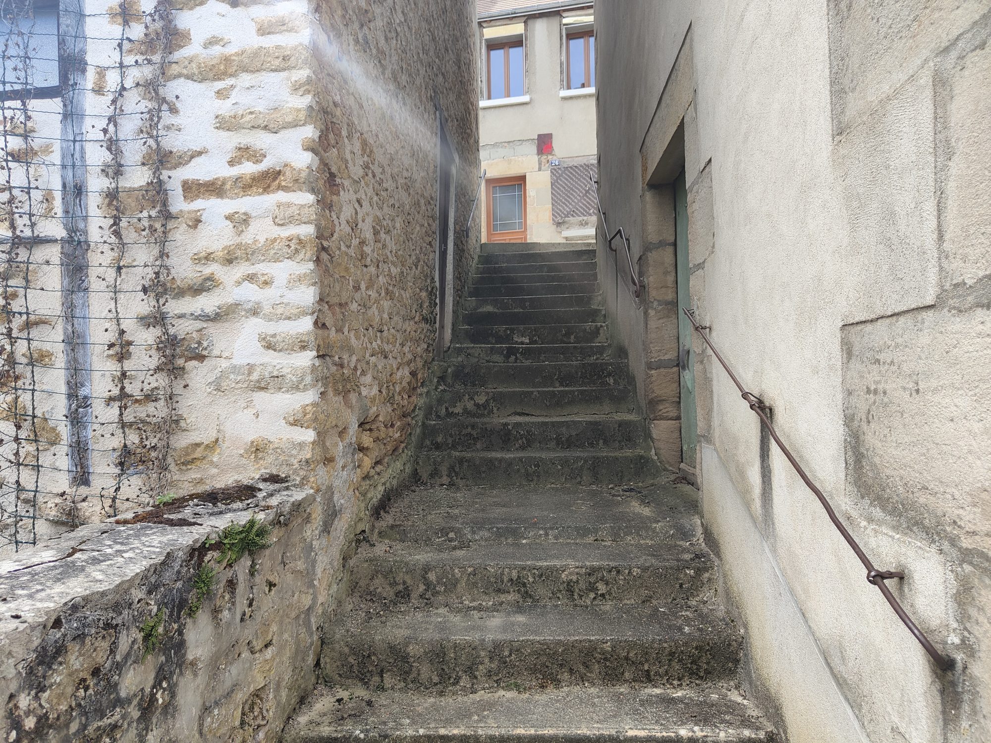 Photo 4 - Maison de ville avec jardin !