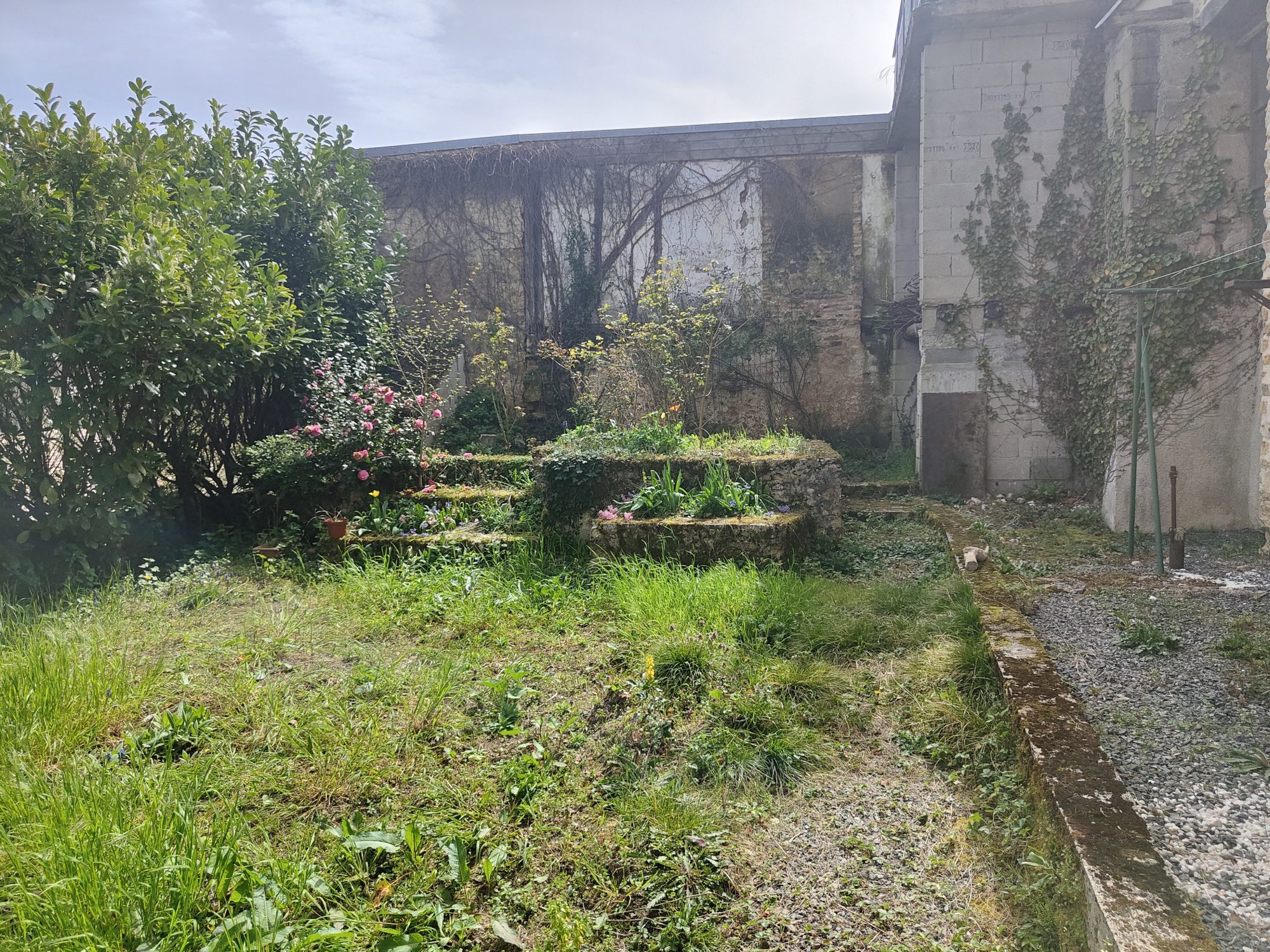 Photo 5 - Maison de ville avec jardin !