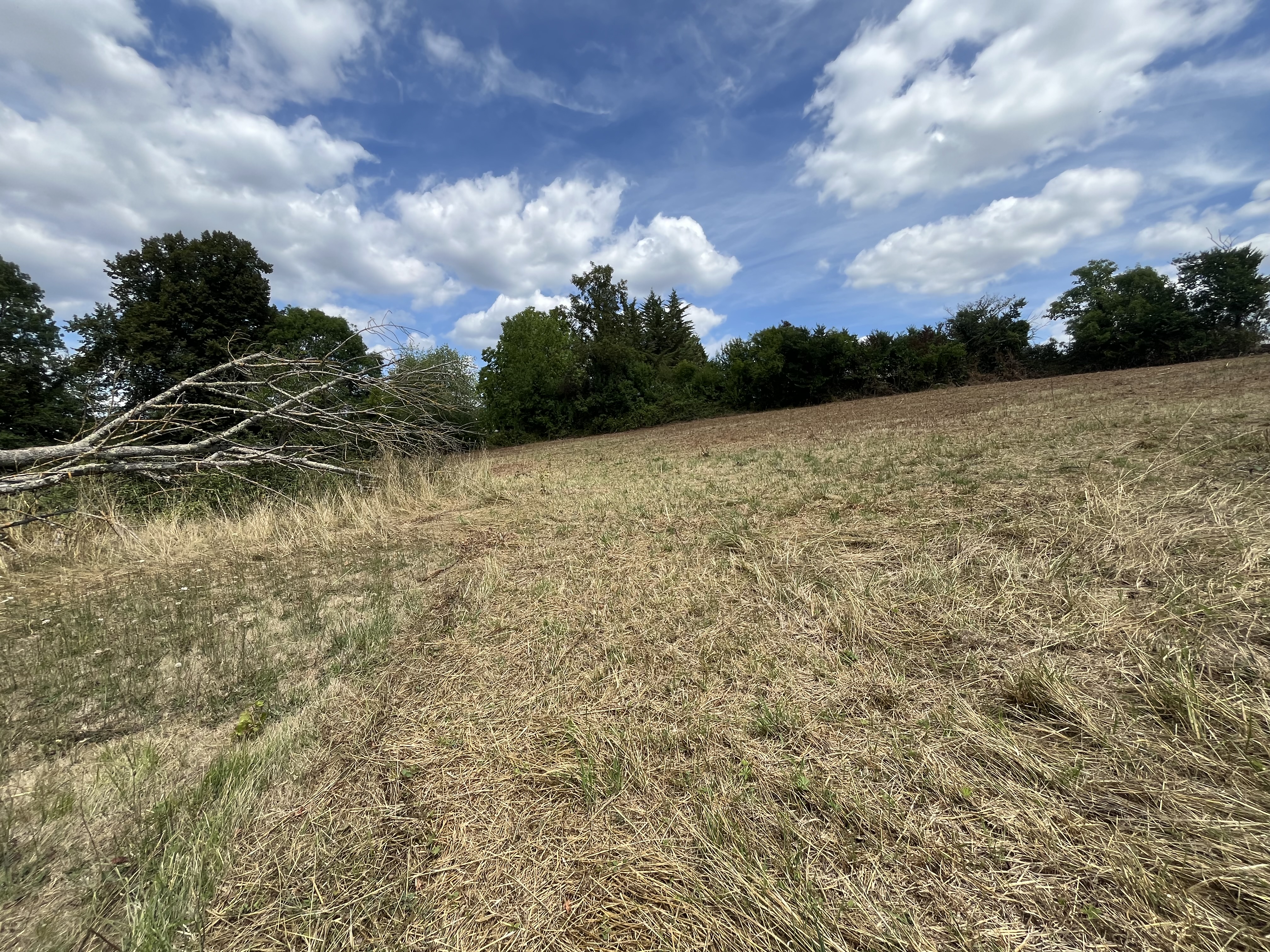 Photo 6 - Terrain constructible 4091m²