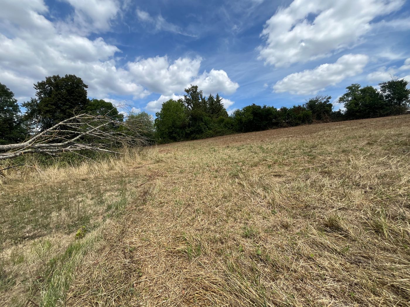 Photo 4 - Terrain constructible 2085m²