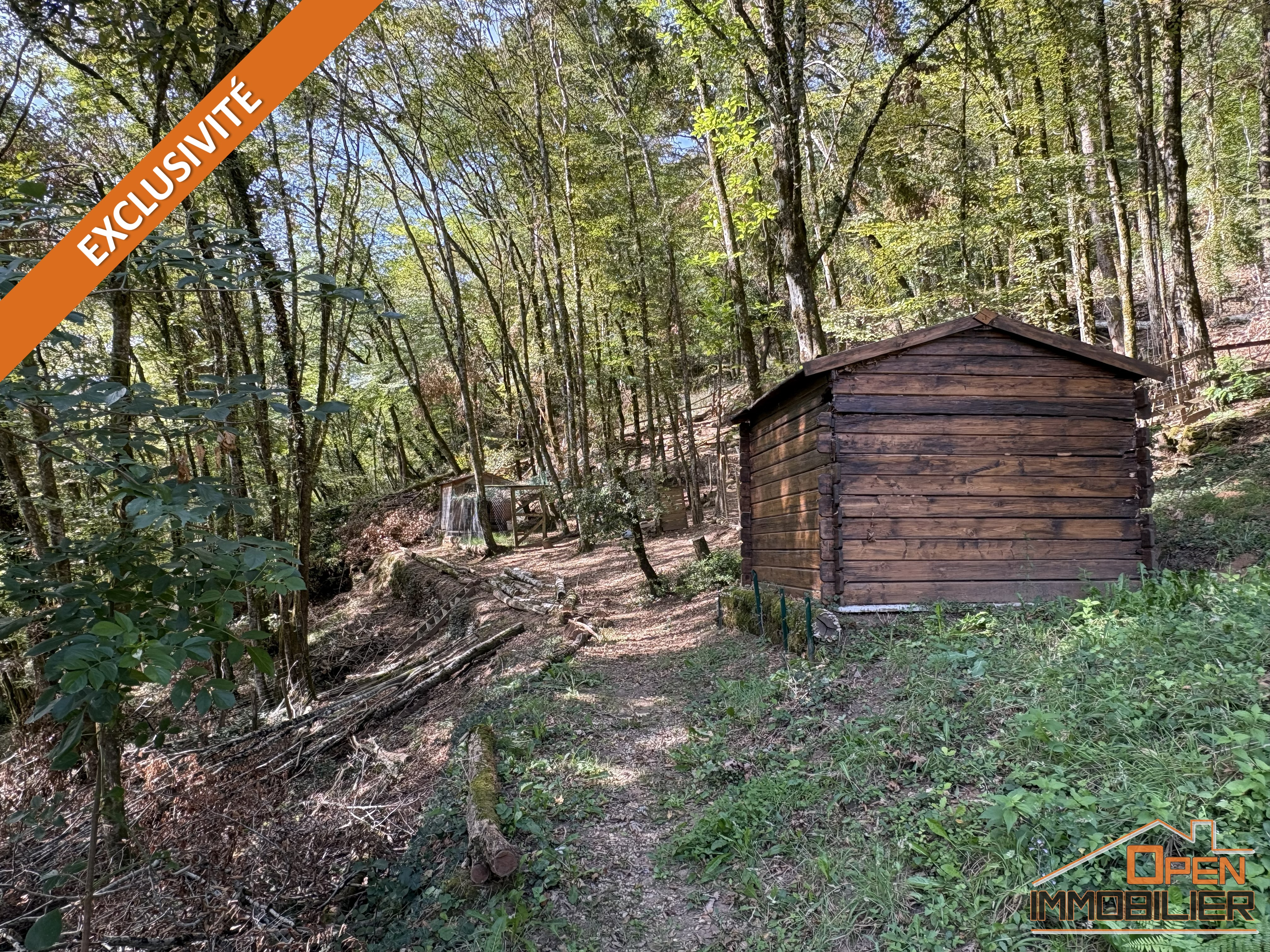 Photo 27 - Propriété troglodyte en pierre-Gîte-Piscine à débordement-Terrain 18 522m²