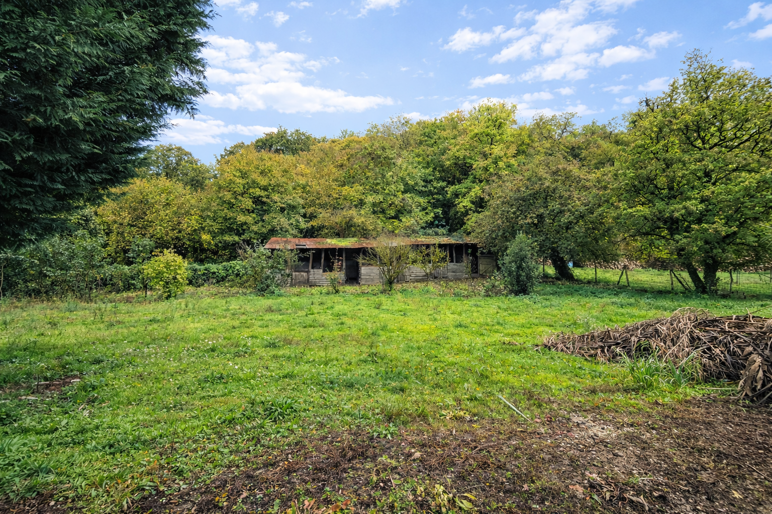 Photo 5 - Maison des années 80 avec grand terrain