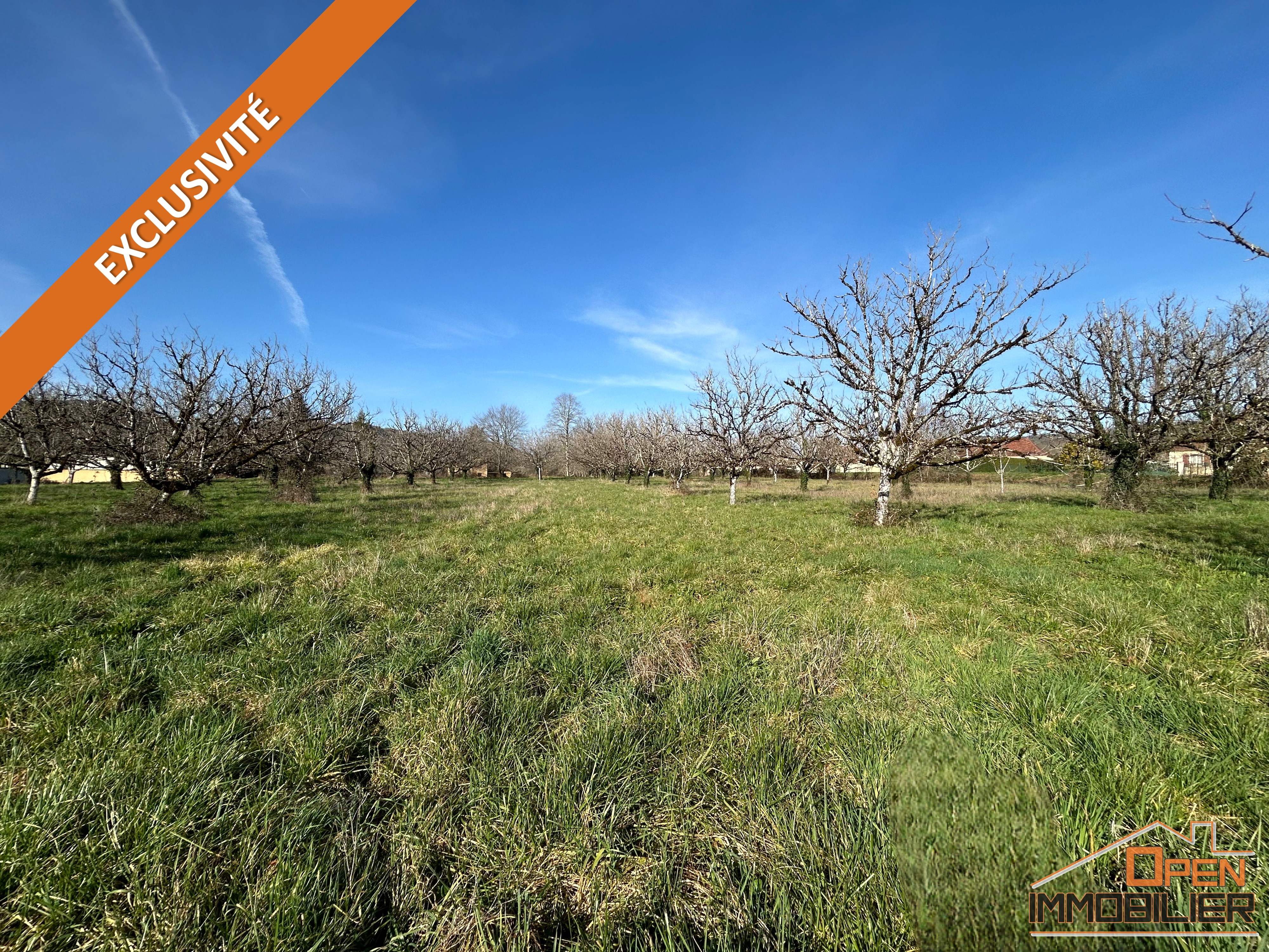 Photo 5 - Maison en pierre 88m²-Grange-Terrain 10 435m²