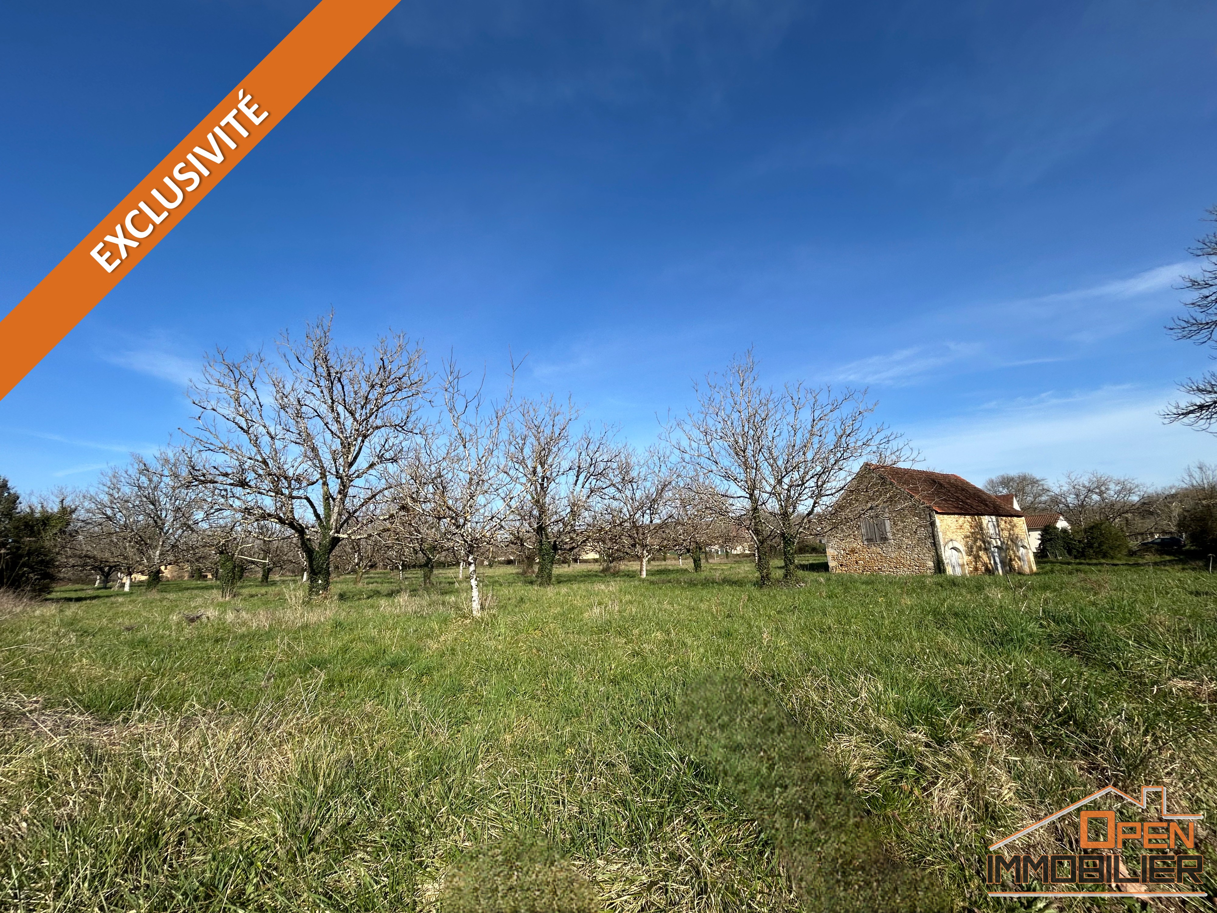 Photo 6 - Maison en pierre 88m²-Grange-Terrain 10 435m²
