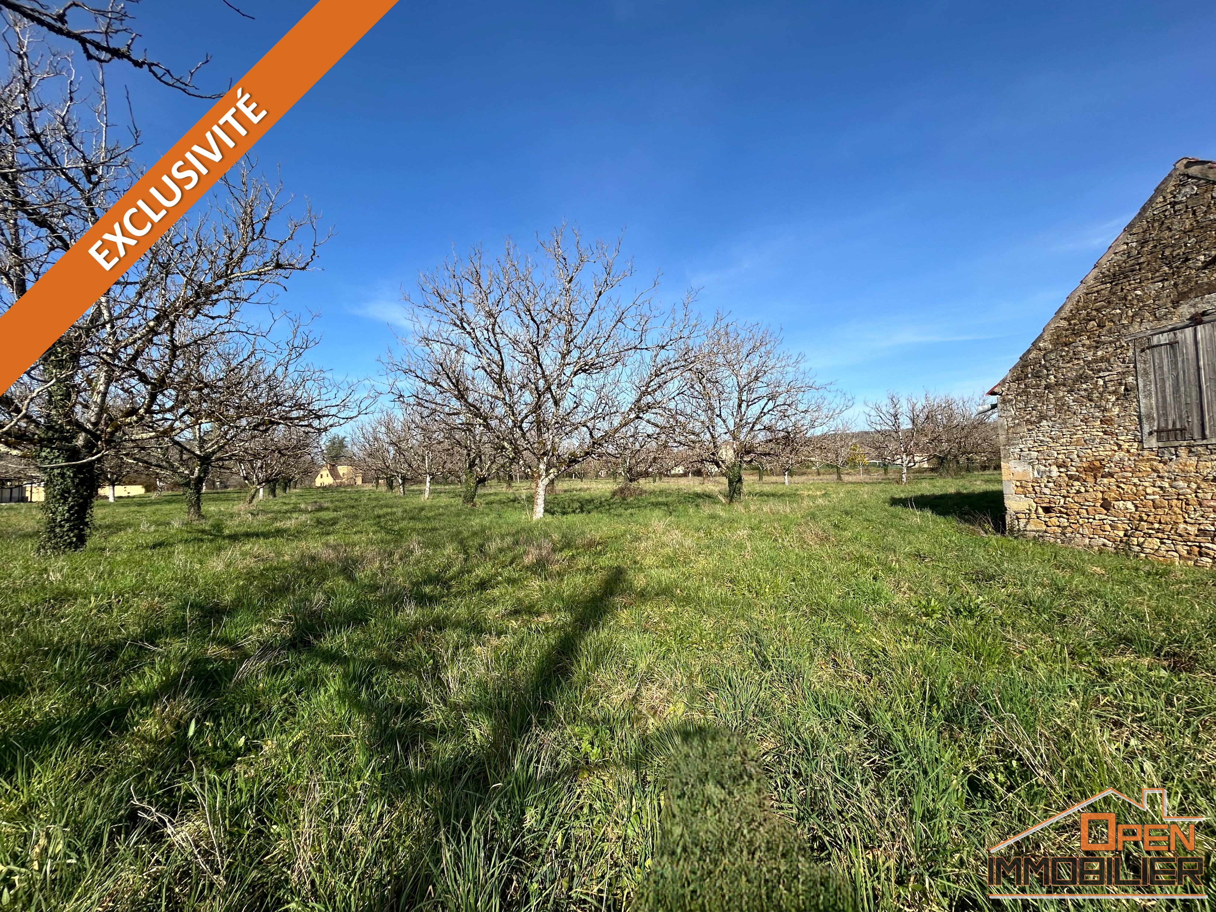 Photo 7 - Maison en pierre 88m²-Grange-Terrain 10 435m²