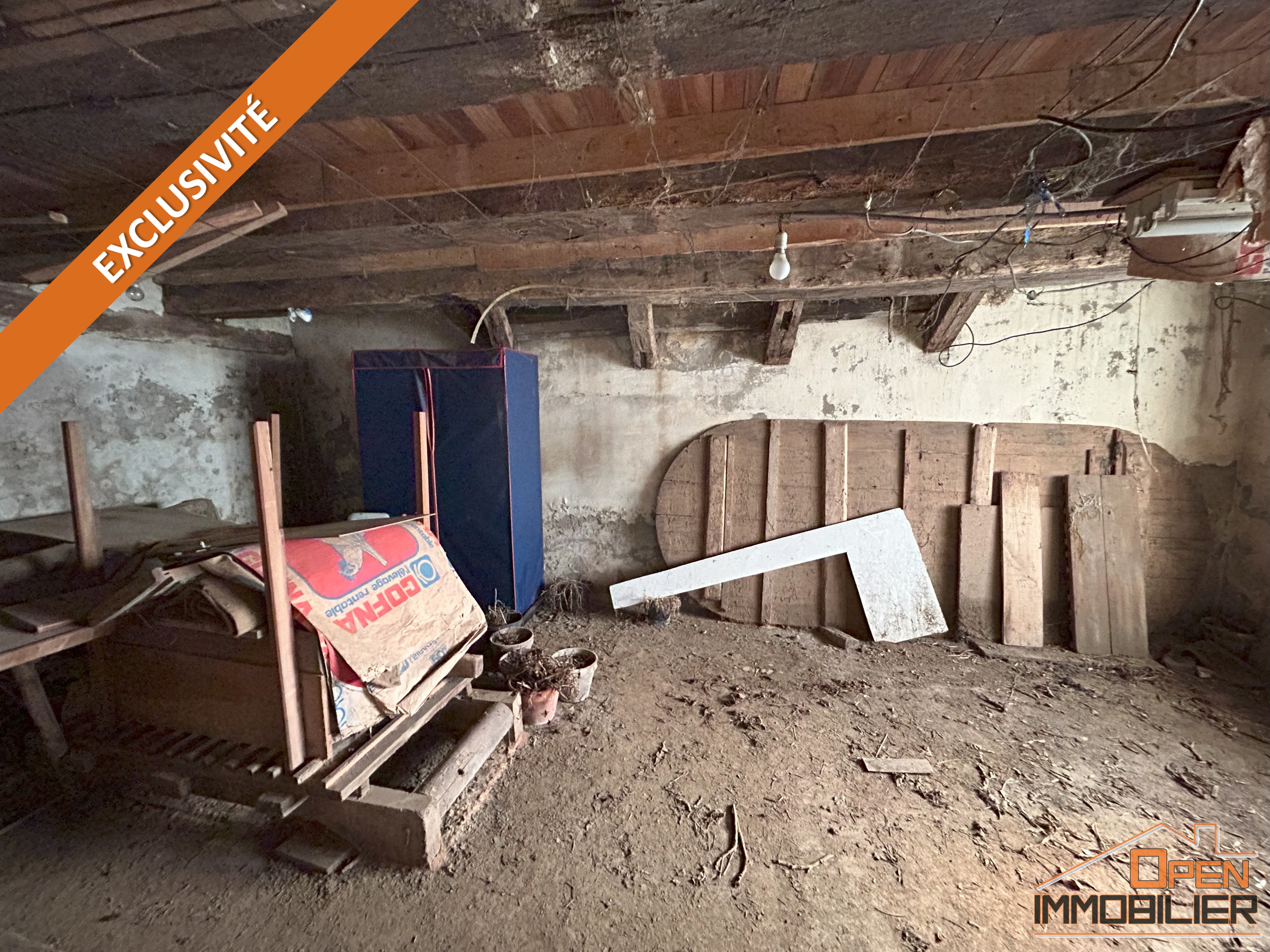 Photo 17 - Maison en pierre 88m²-Grange-Terrain 10 435m²