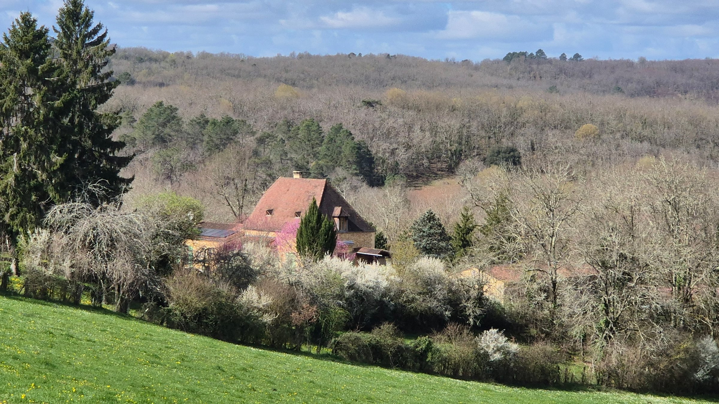 Photo 6 - Superbe Maison en pierre en Périgord Noir avec grand espace pour activité ou passion Meyrals (24220)