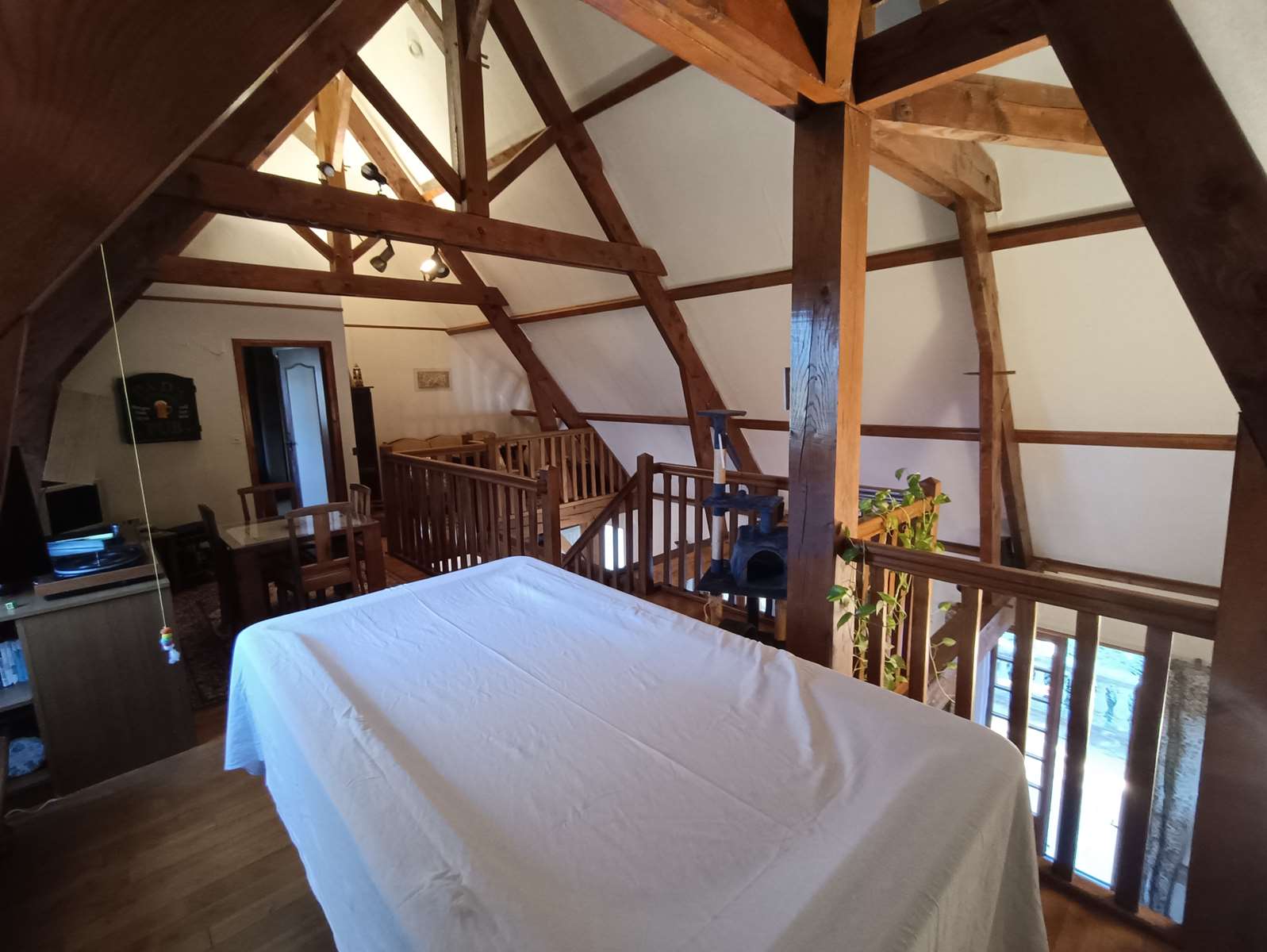 Photo 9 - Propriété de charme à Troche : maison familiale, dépendance, verger et étang dans un écrin de verdure !