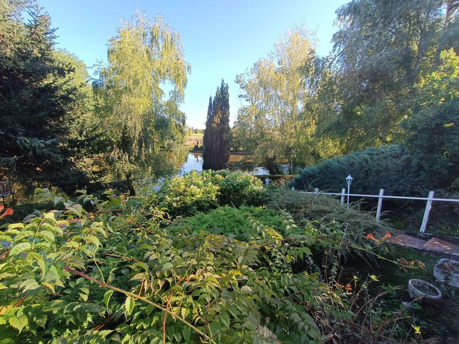Photo 33 - Propriété de charme à Troche : maison familiale, dépendance, verger et étang dans un écrin de verdure !