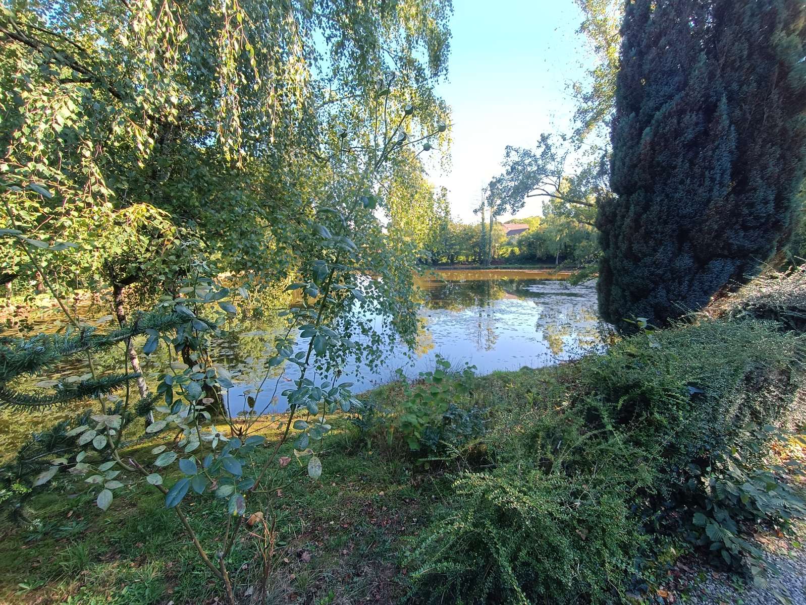 Photo 35 - Propriété de charme à Troche : maison familiale, dépendance, verger et étang dans un écrin de verdure !