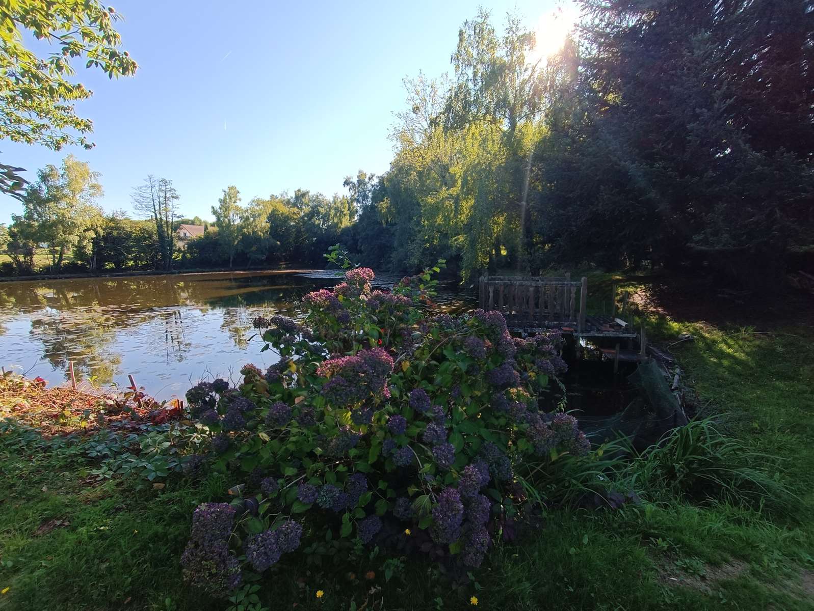 Propriété de charme à Troche : maison familiale, dépendance, verger et étang dans un écrin de ver... - Photo 3