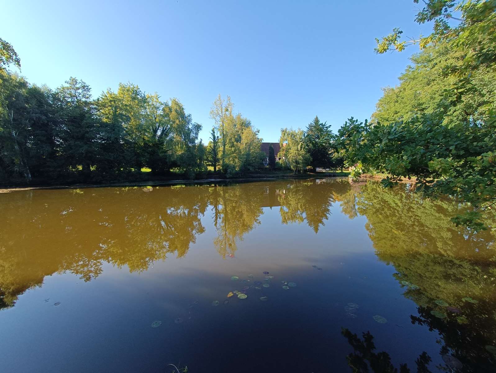 Photo 36 - Propriété de charme à Troche : maison familiale, dépendance, verger et étang dans un écrin de verdure !