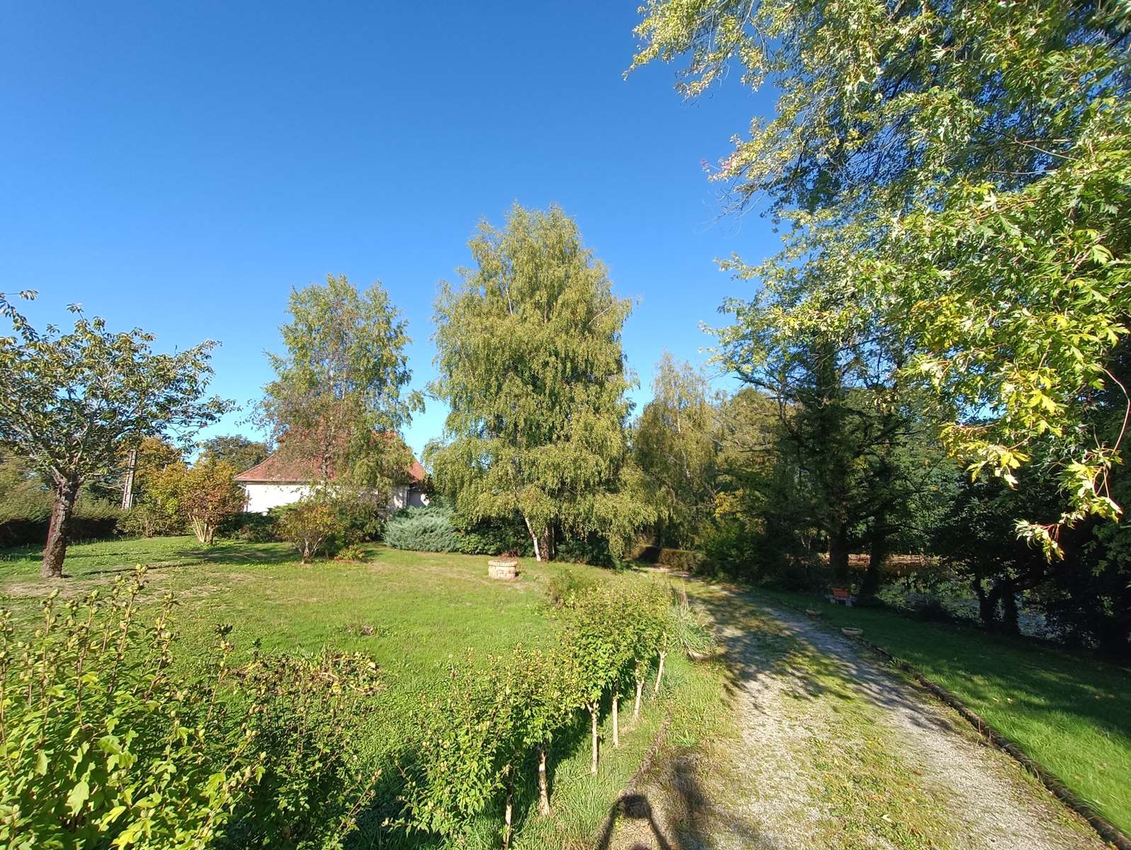 Photo 39 - Propriété de charme à Troche : maison familiale, dépendance, verger et étang dans un écrin de verdure !