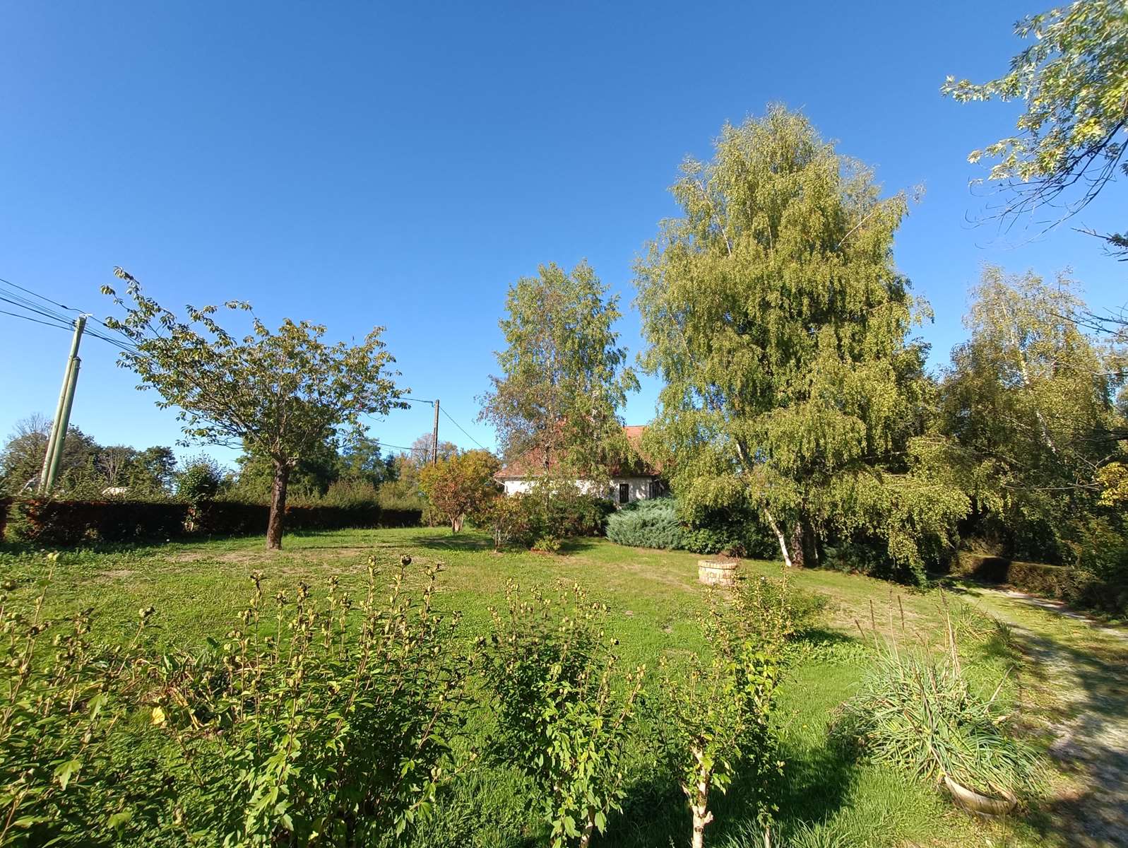 Photo 40 - Propriété de charme à Troche : maison familiale, dépendance, verger et étang dans un écrin de verdure !