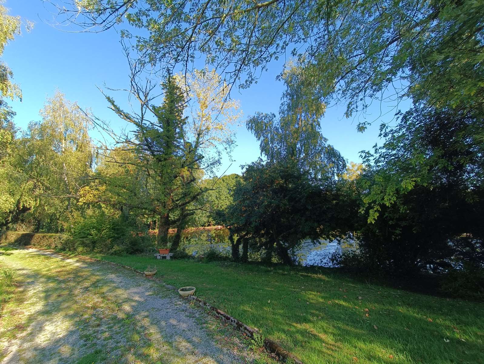 Photo 41 - Propriété de charme à Troche : maison familiale, dépendance, verger et étang dans un écrin de verdure !