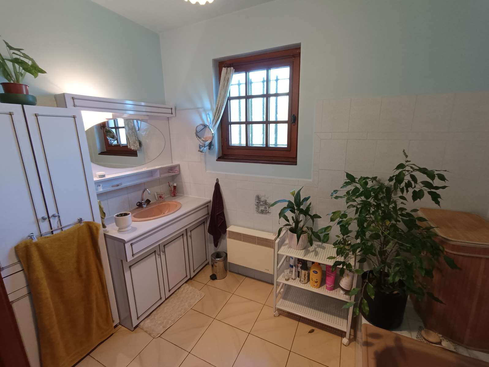 Photo 25 - Propriété de charme à Troche : maison familiale, dépendance, verger et étang dans un écrin de verdure !
