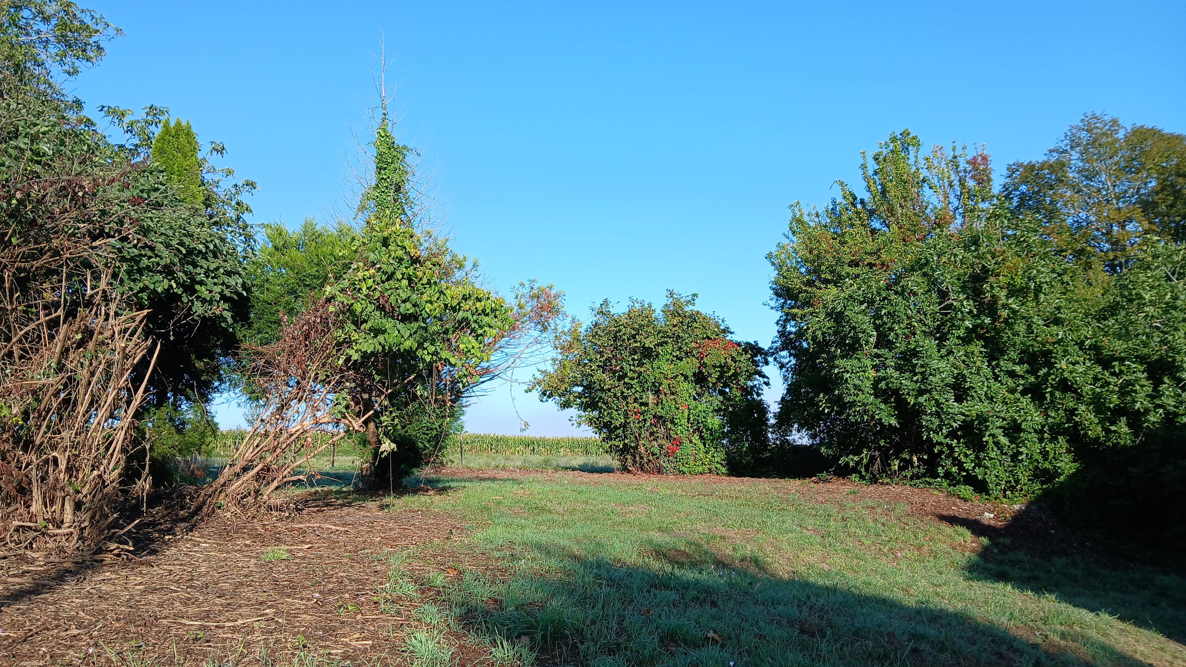Photo 4 - Maison avec grange