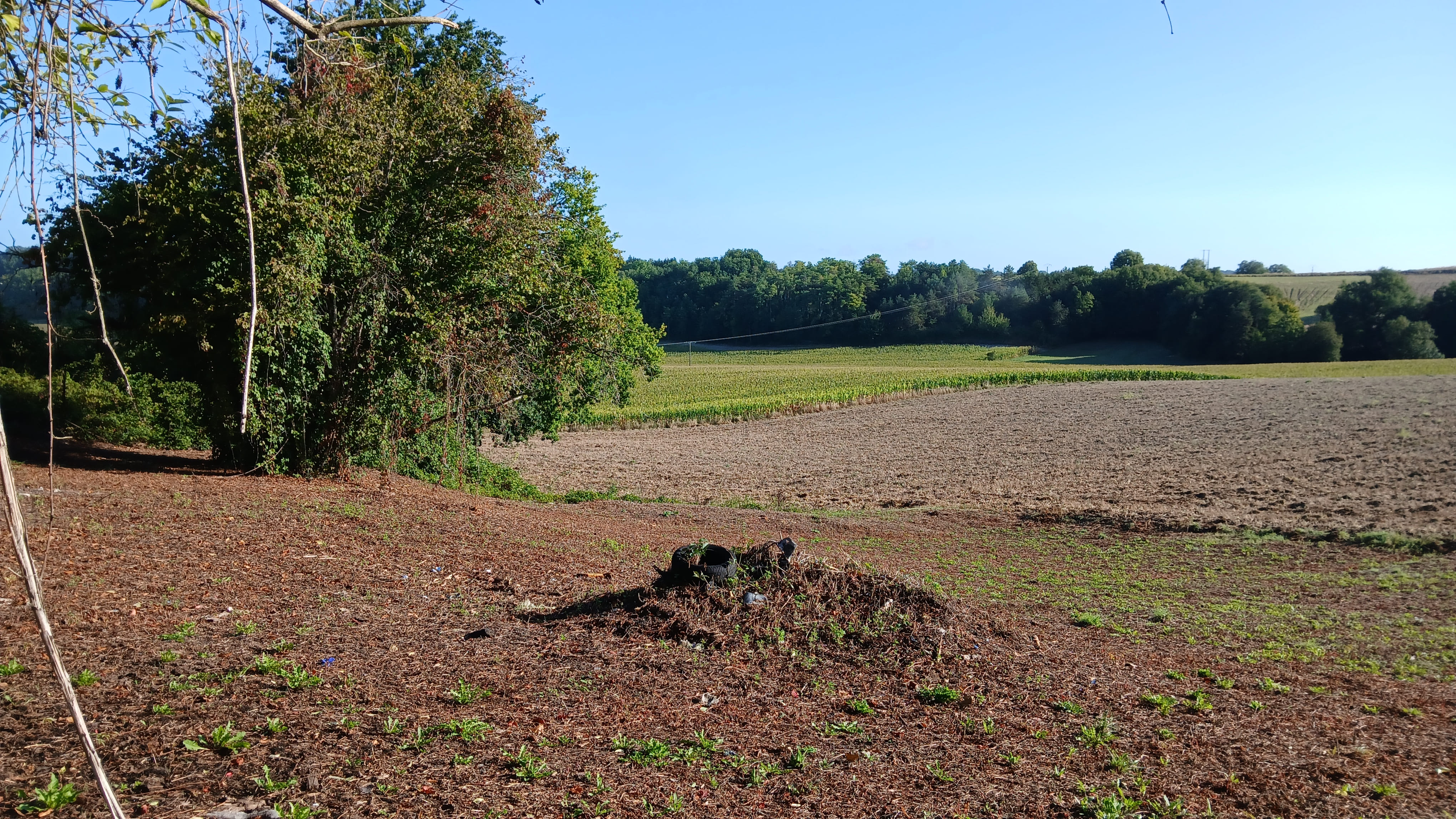 Maison avec grange - Photo 2