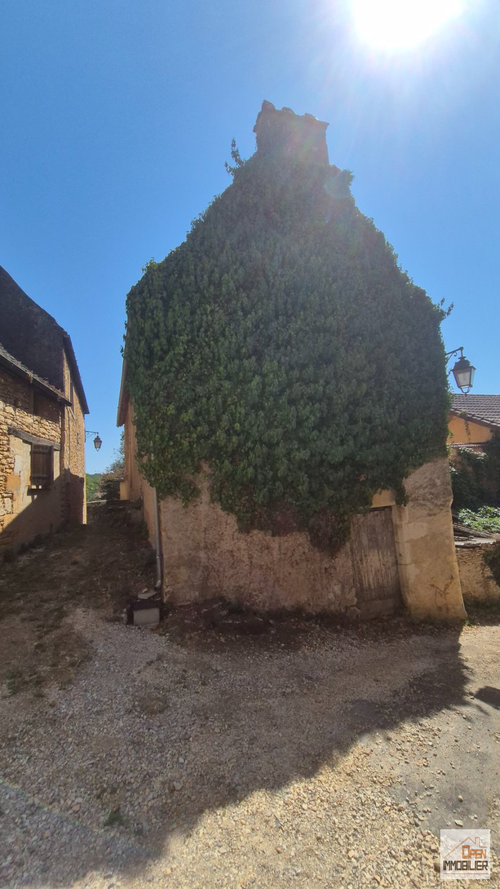 Photo 18 - Belle maison en pierre au coeur du Périgord noir avec cour intérieur et belle vue dans un village