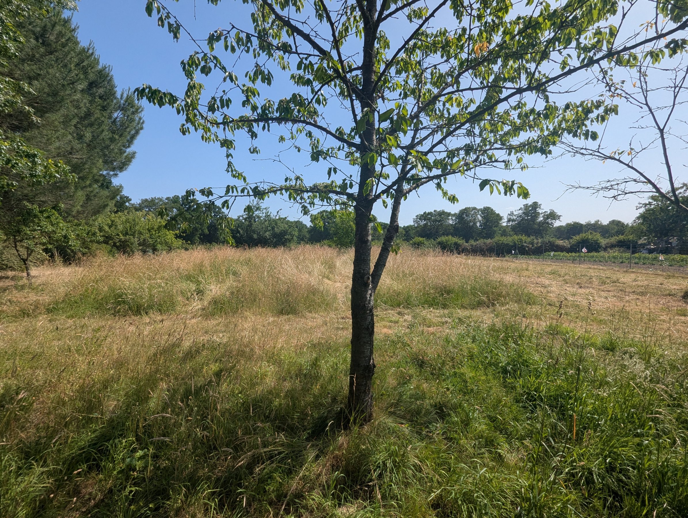 Photo 20 - Maison de campagne avec vie de plain-pied !
