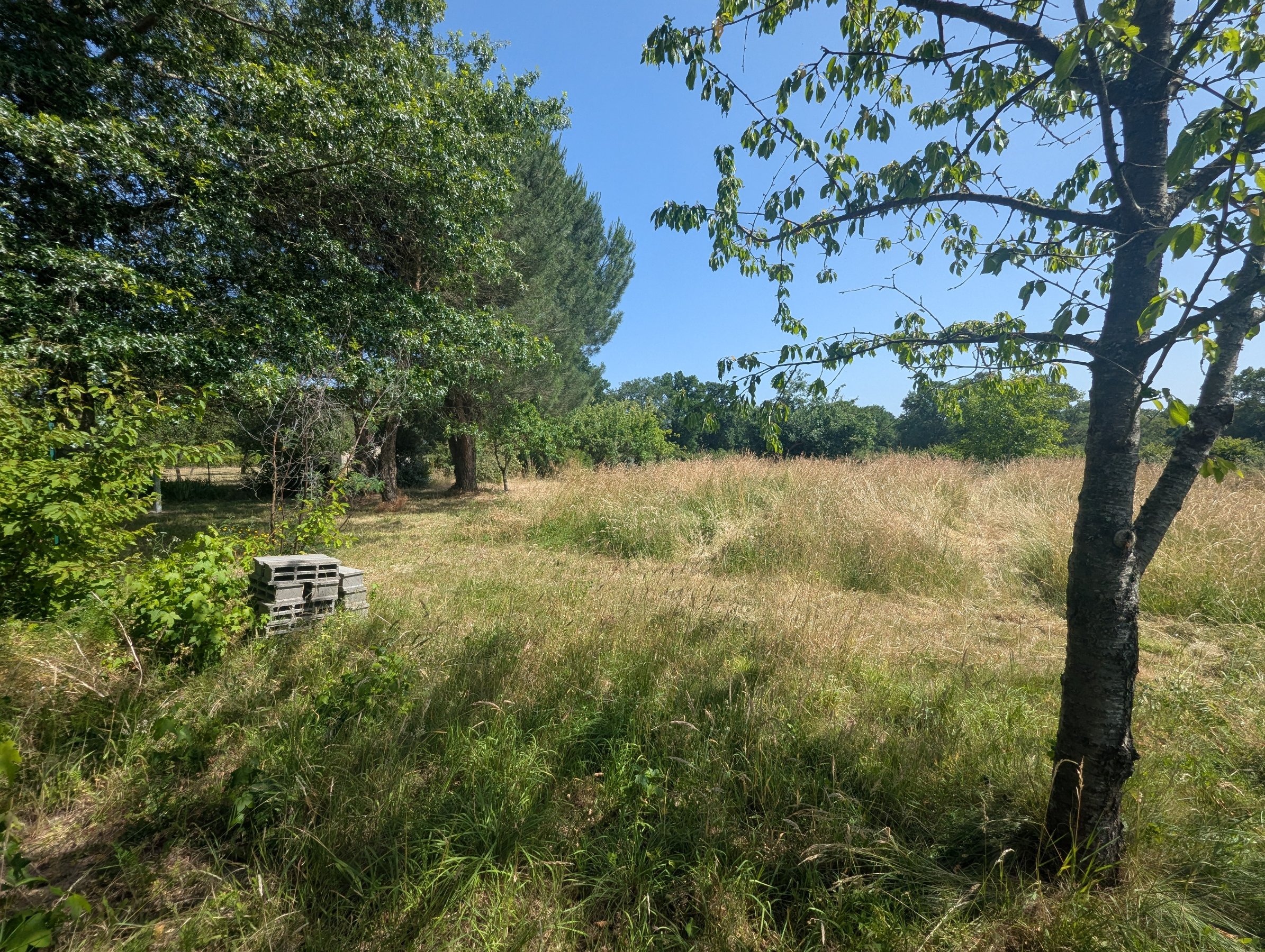 Photo 19 - Maison de campagne avec vie de plain-pied !