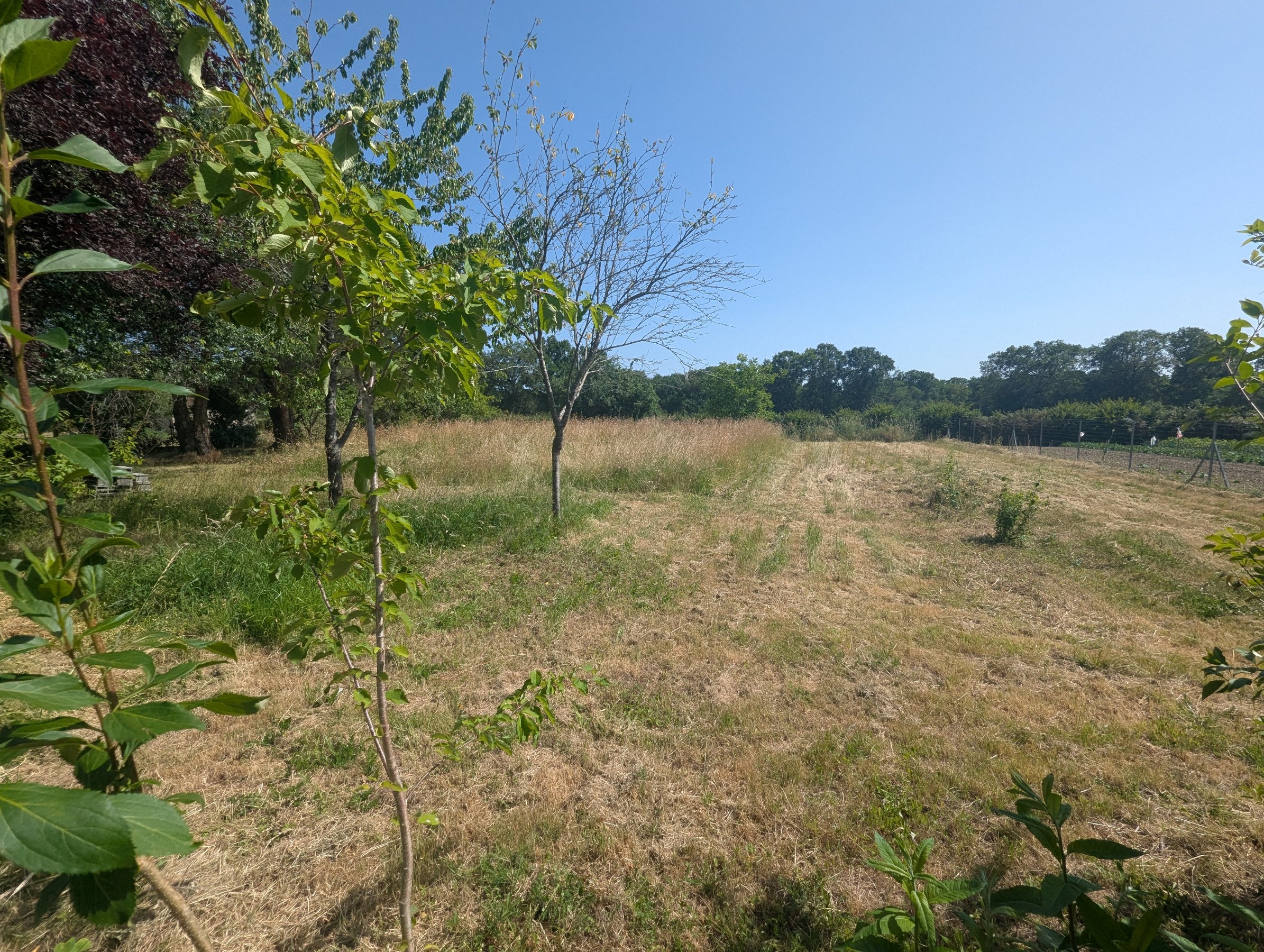 Photo 18 - Maison de campagne avec vie de plain-pied !